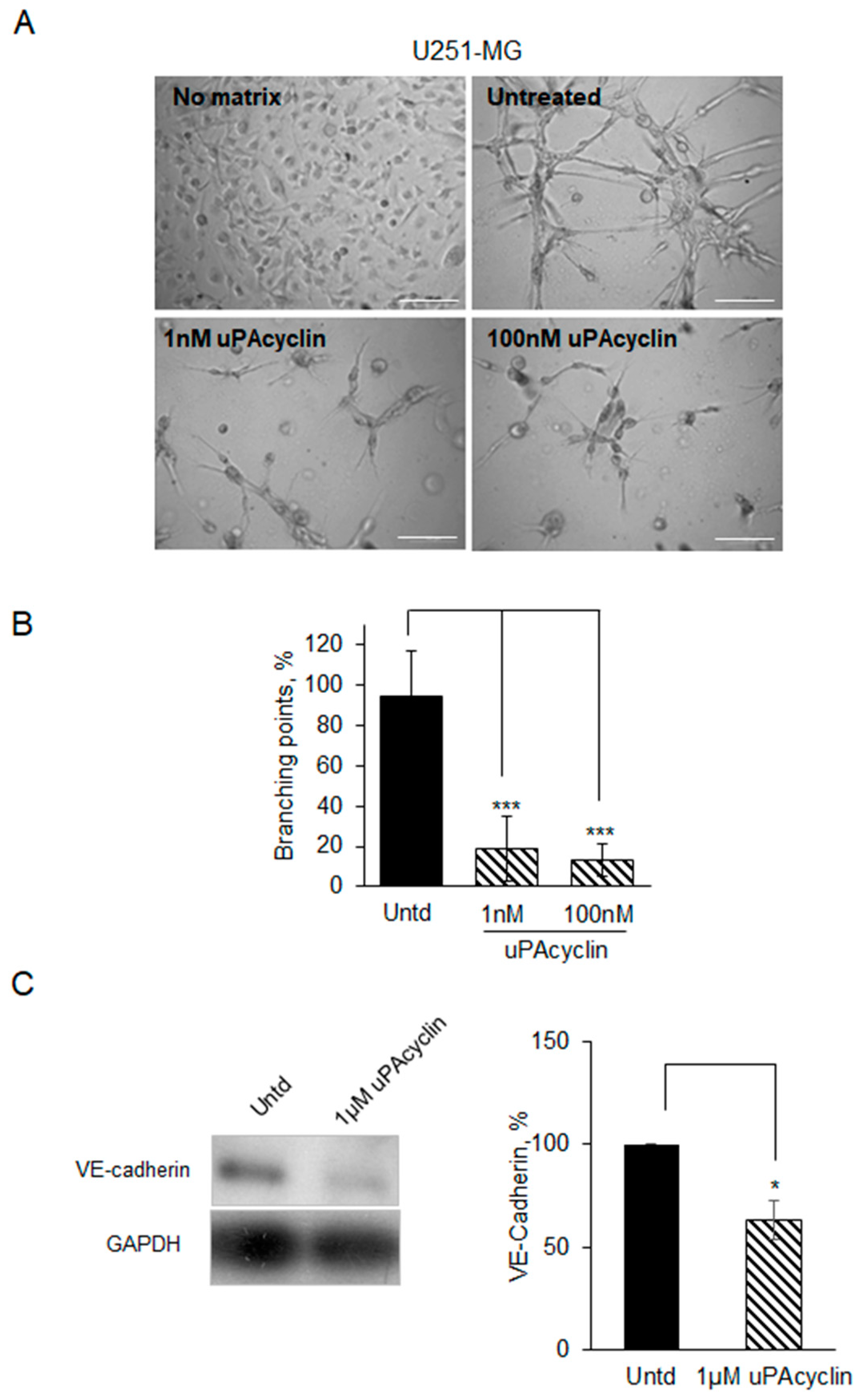 Cancers 15 04775 g008 Cancers 15 04775 g008