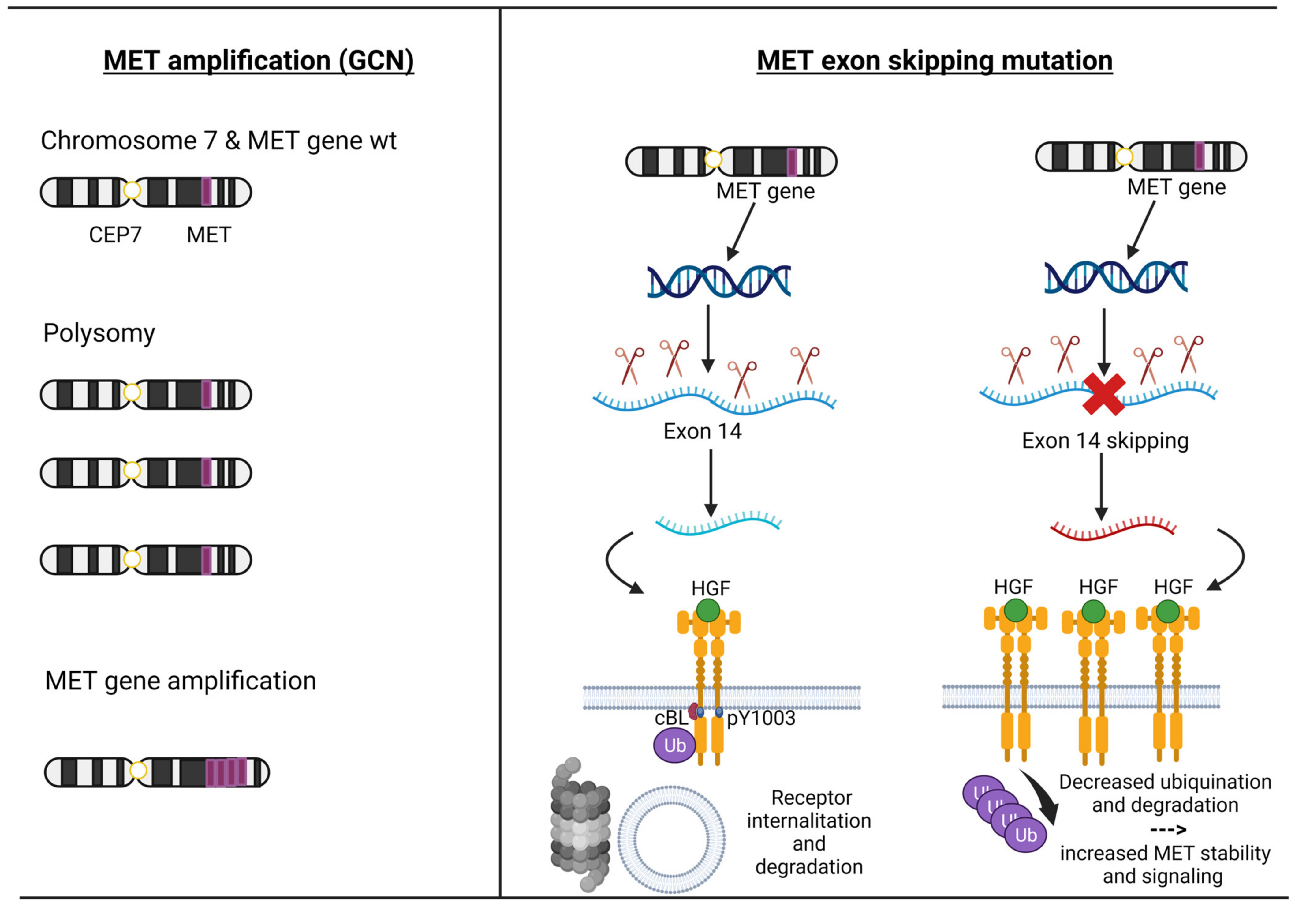 Cancers 15 04779 g002