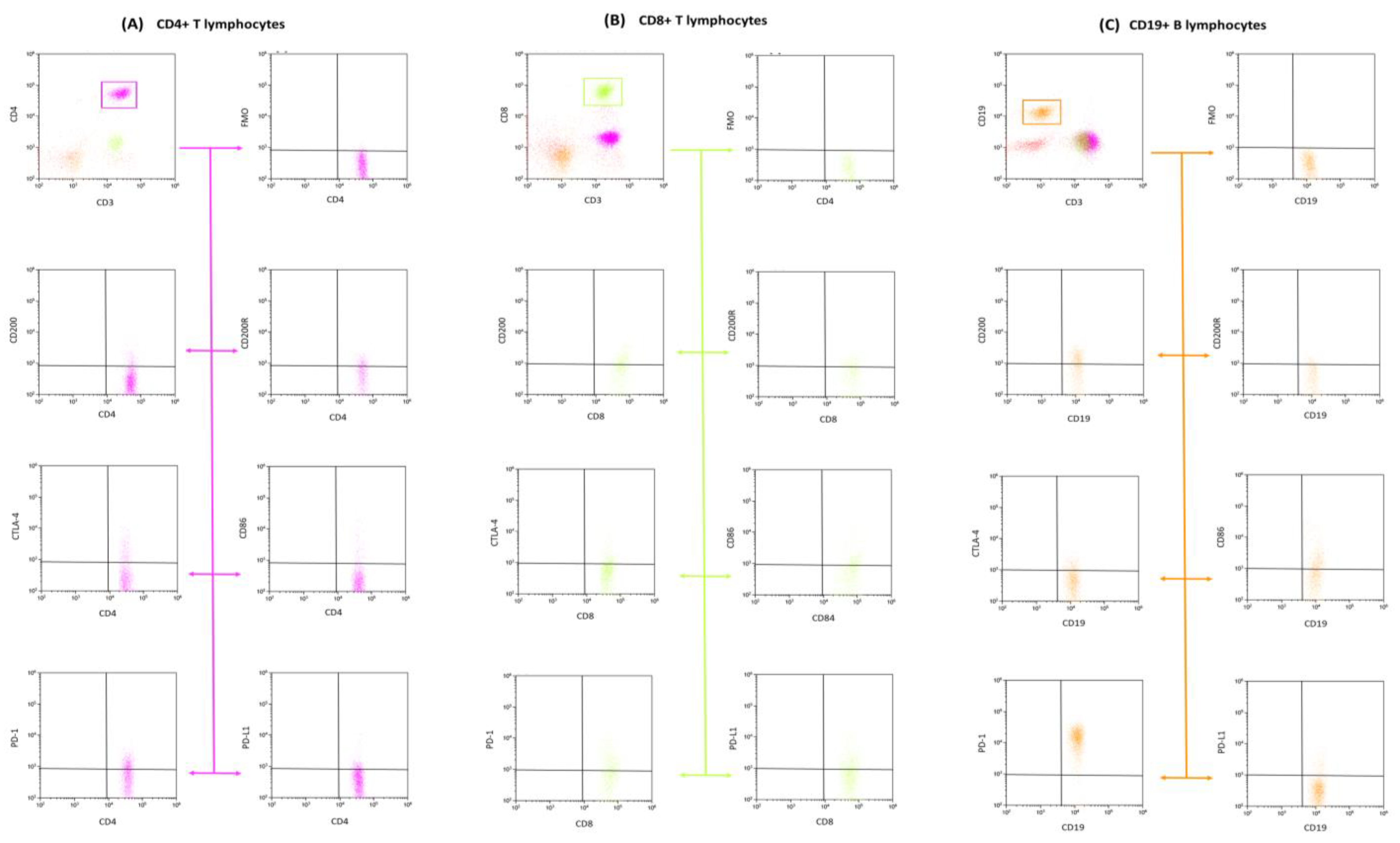 Cancers 15 04786 g002