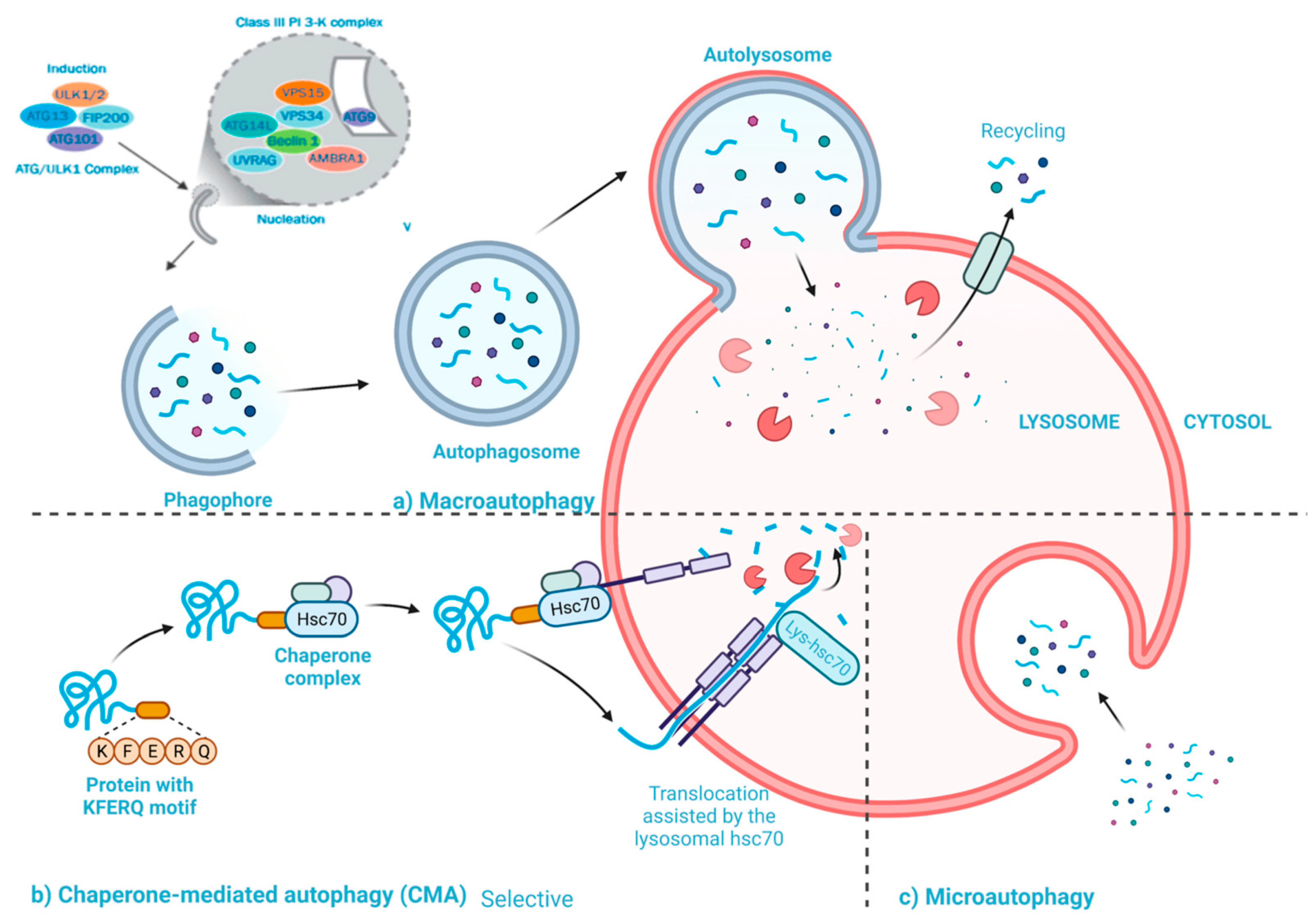 Cancers 15 04787 g001