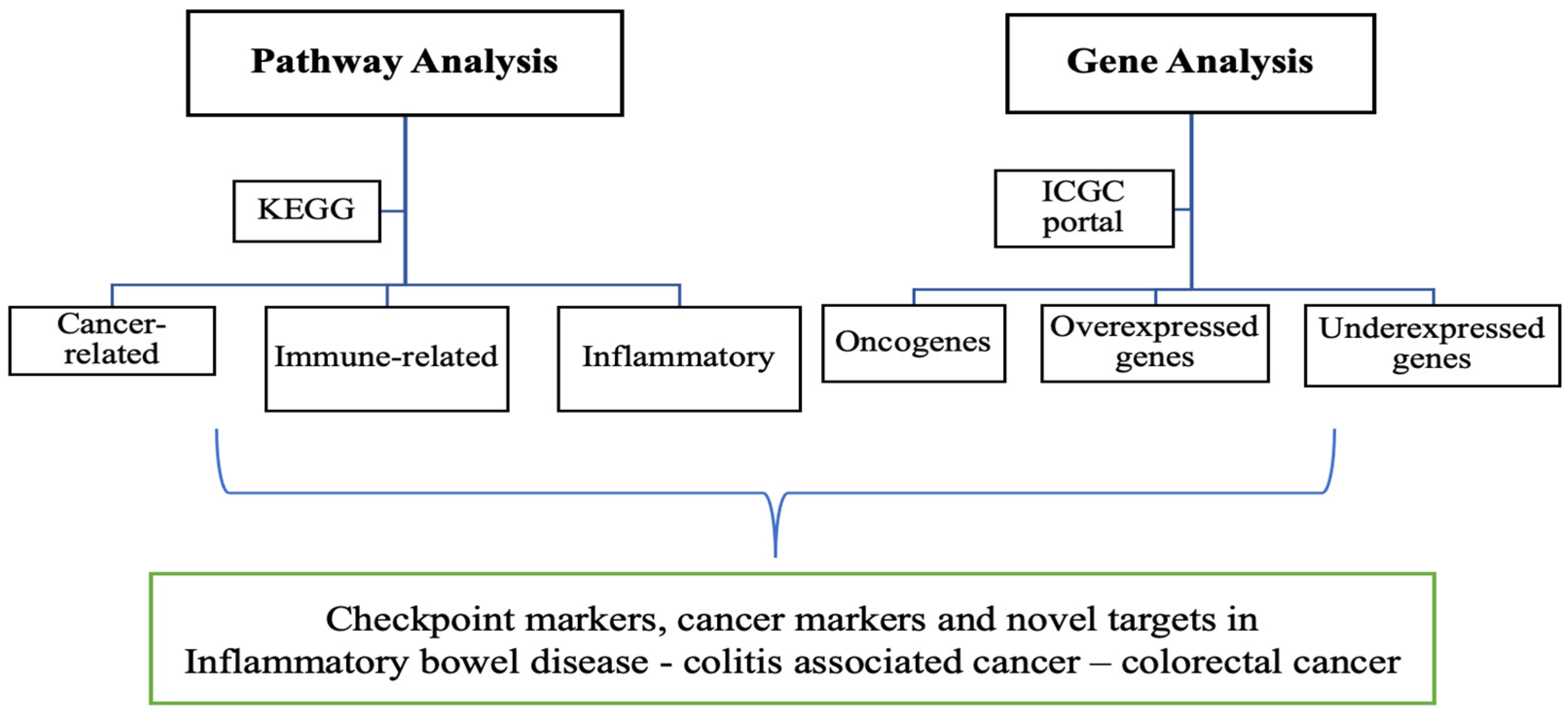 Cancers 15 04793 g001