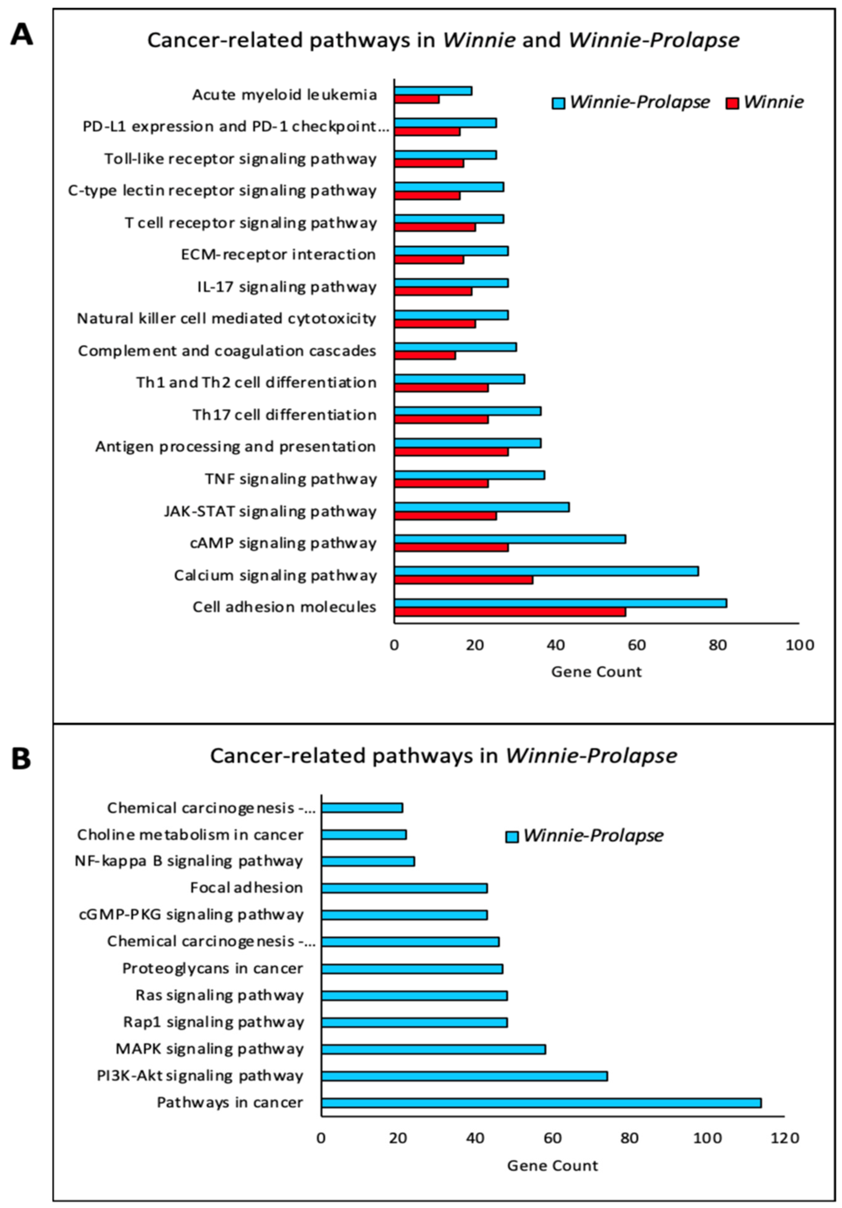 Cancers 15 04793 g003