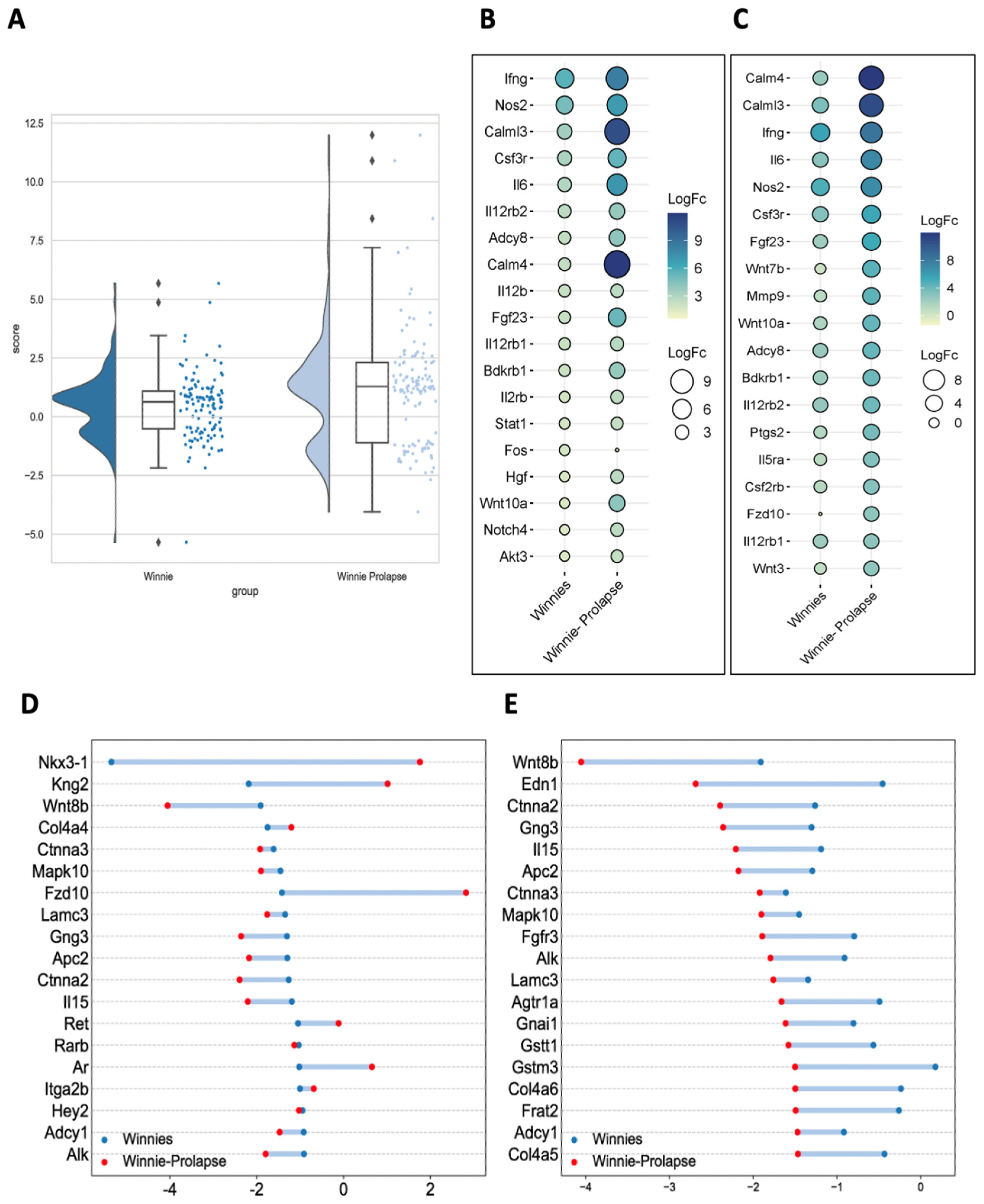 Cancers 15 04793 g004
