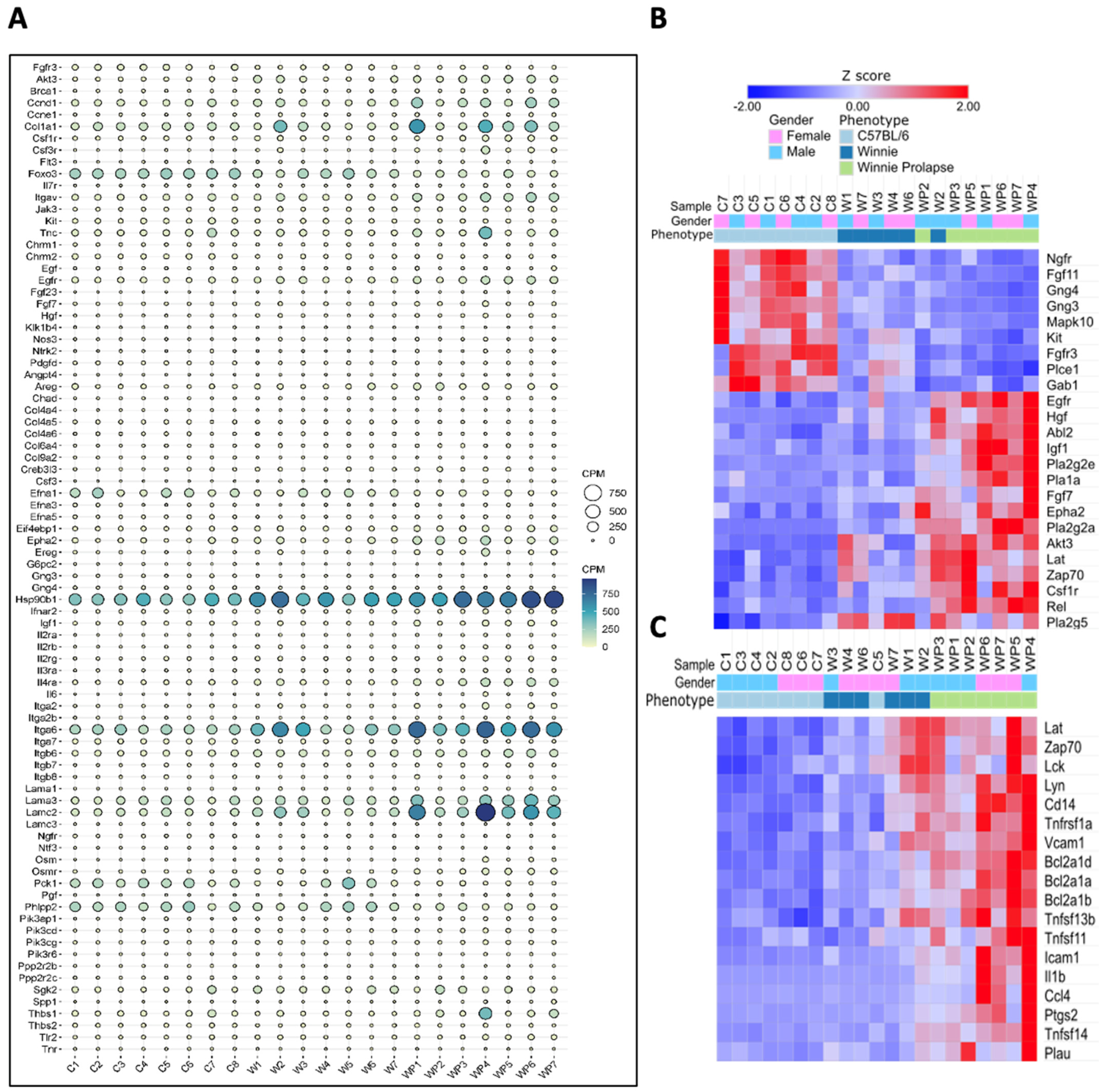 Cancers 15 04793 g007