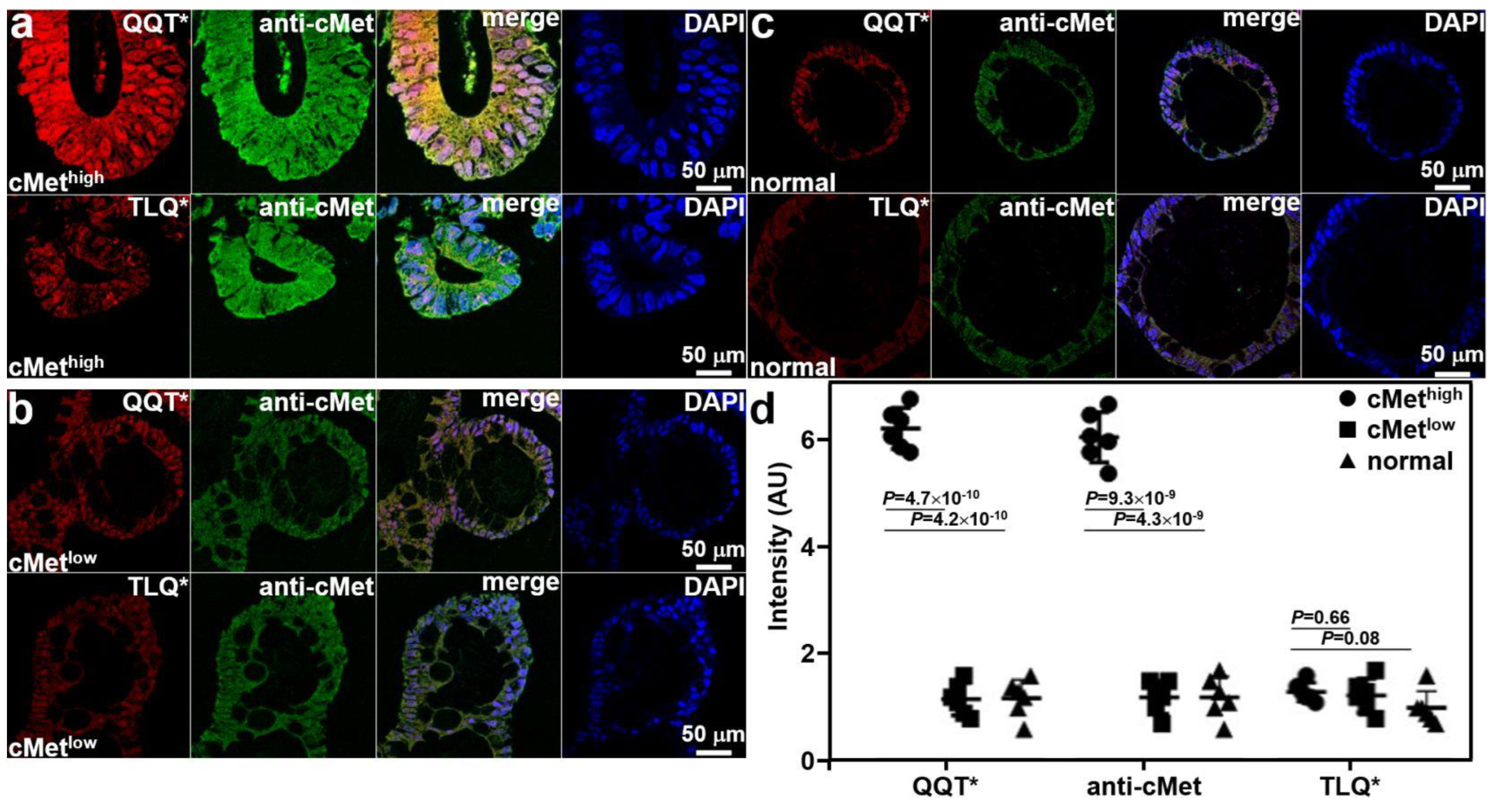 Cancers 15 04795 g003
