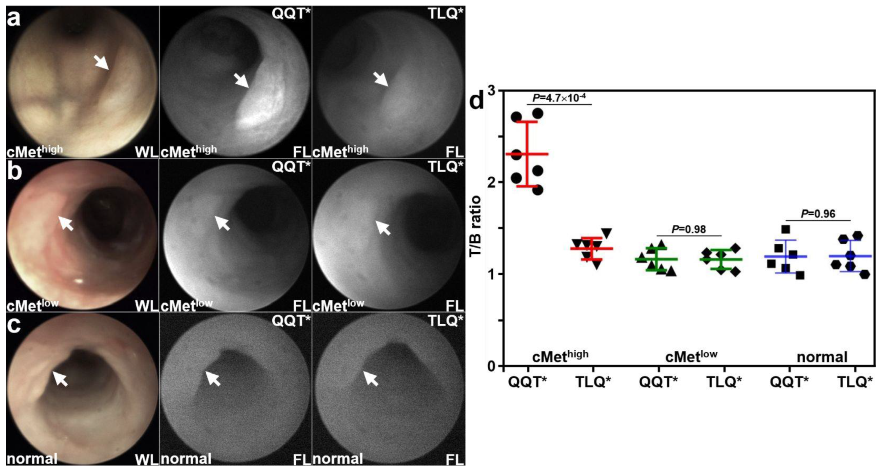 Cancers 15 04795 g004