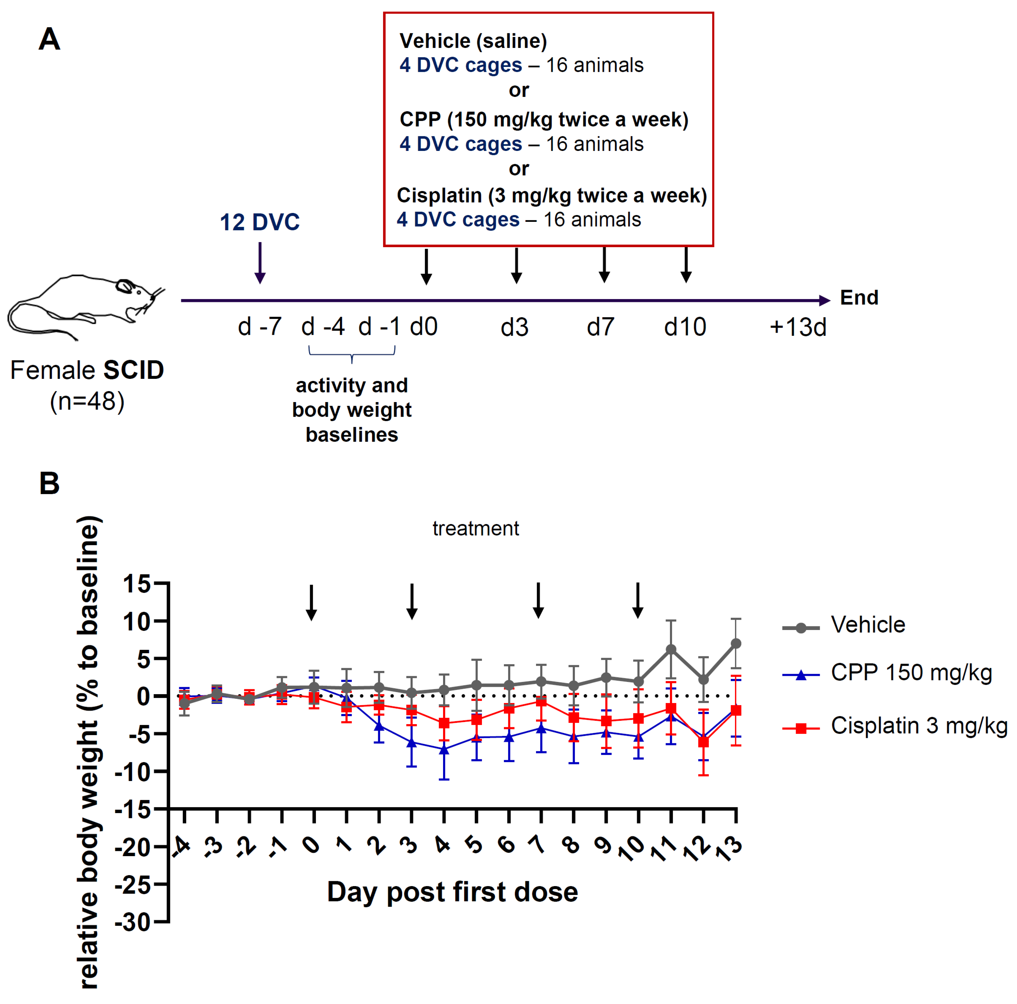 Cancers 15 04798 g001