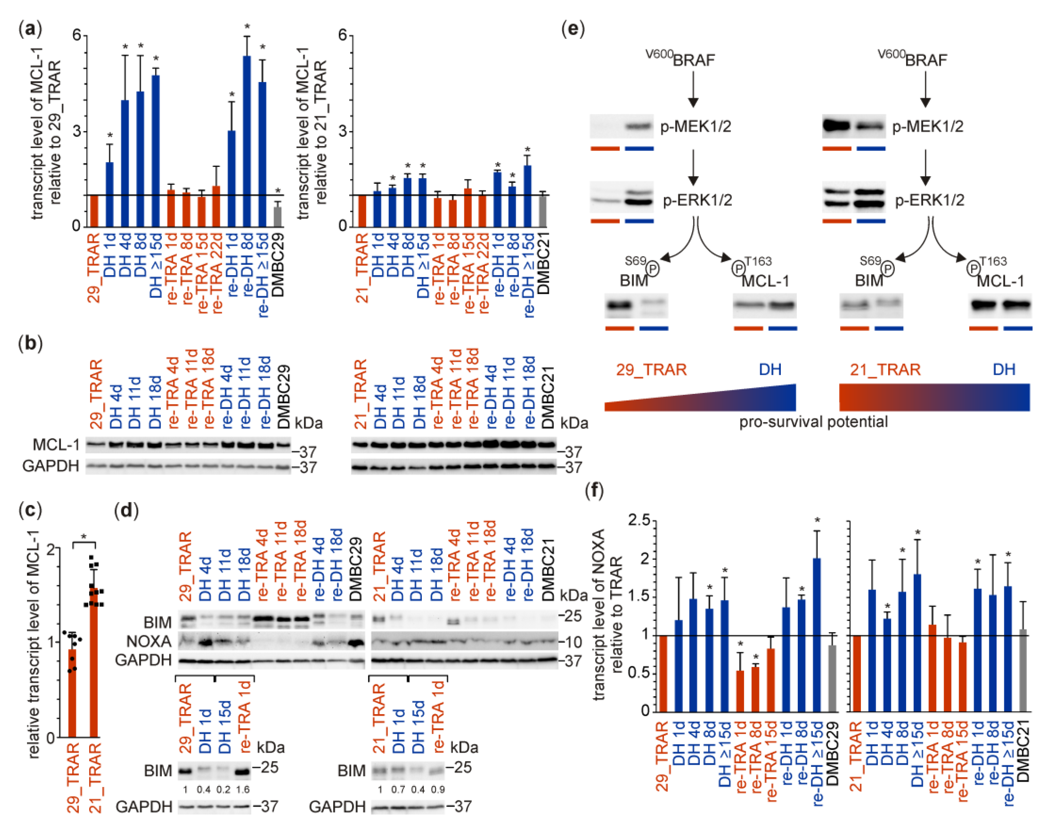 Cancers 15 04799 g002