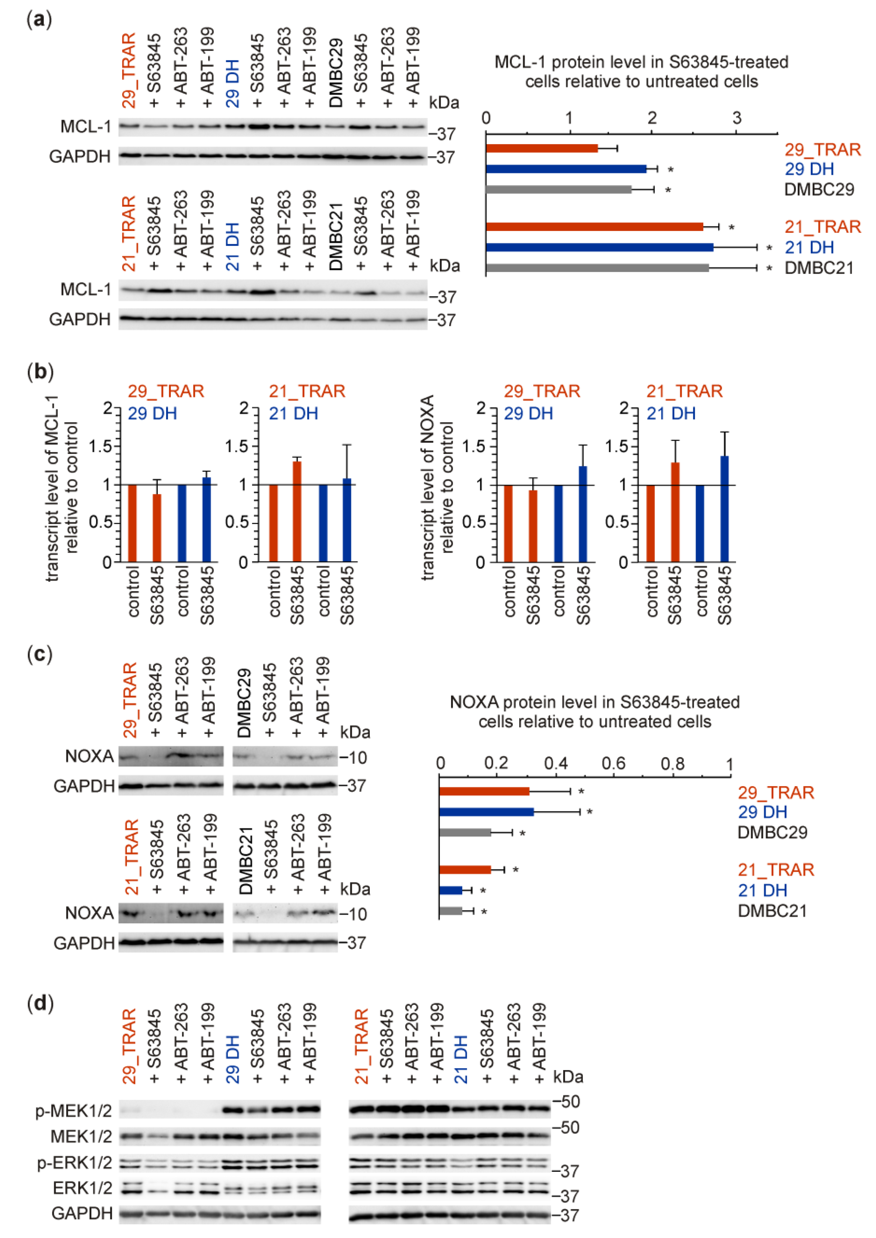 Cancers 15 04799 g004