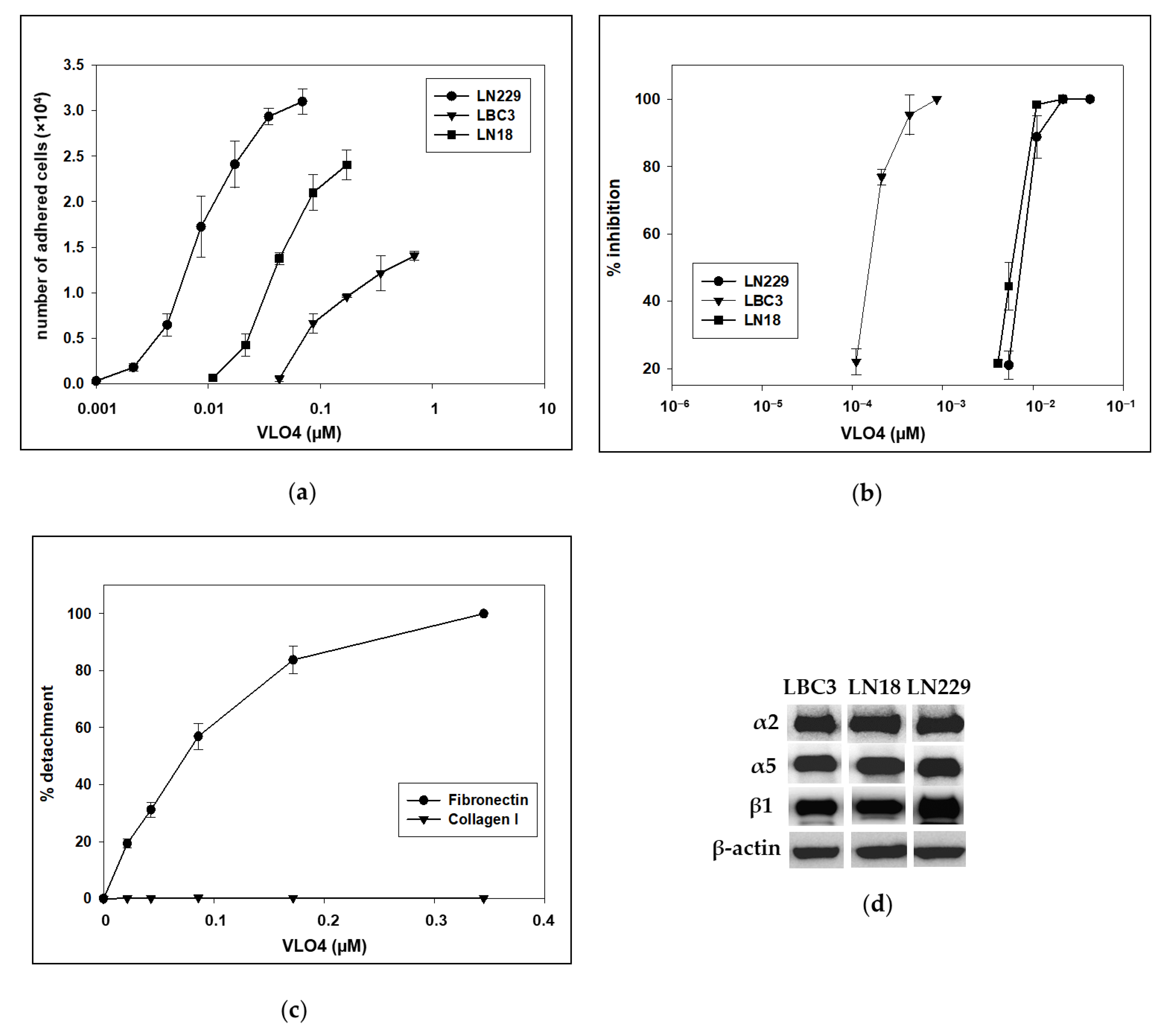 Cancers 15 04805 g001