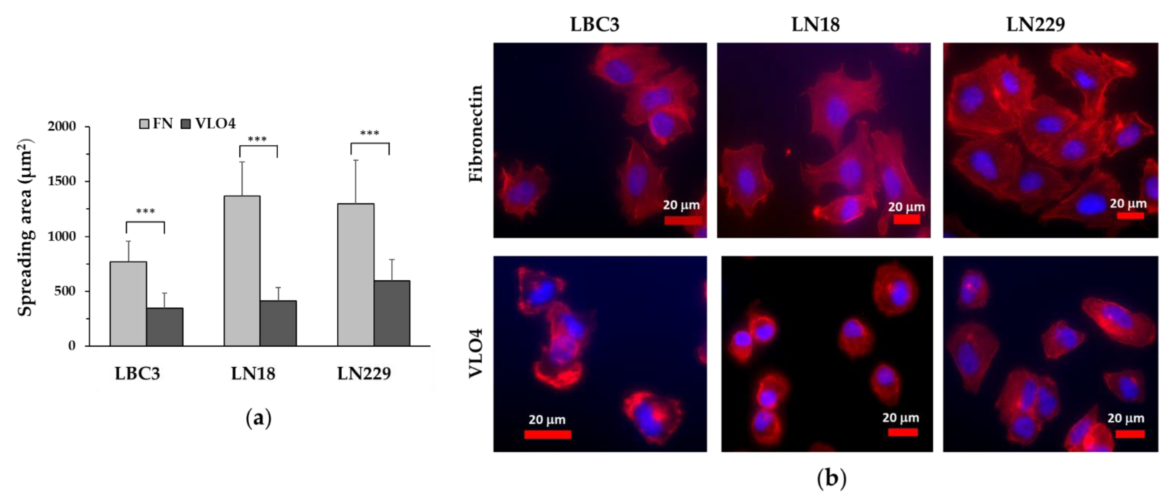 Cancers 15 04805 g003