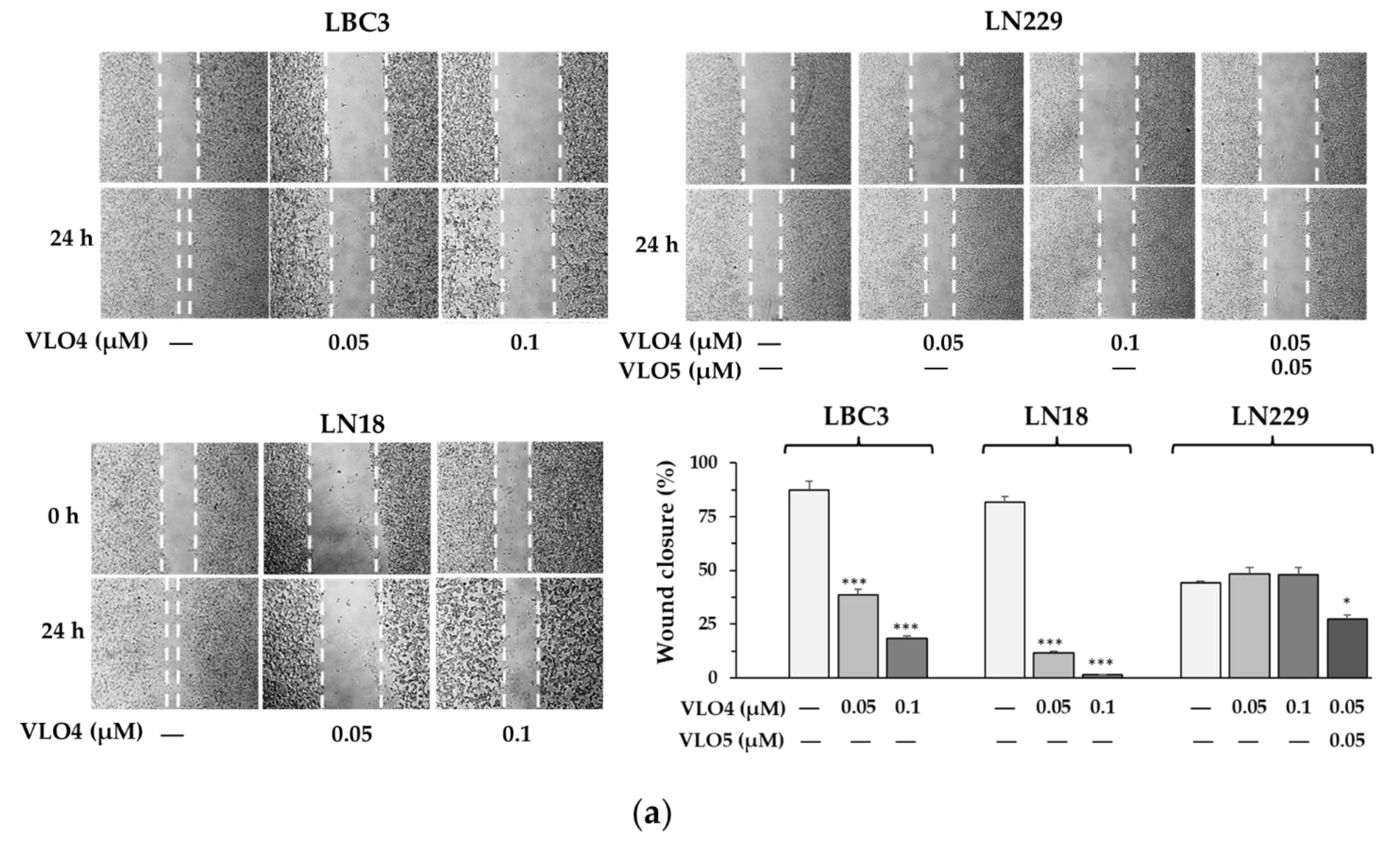 Cancers 15 04805 g004a