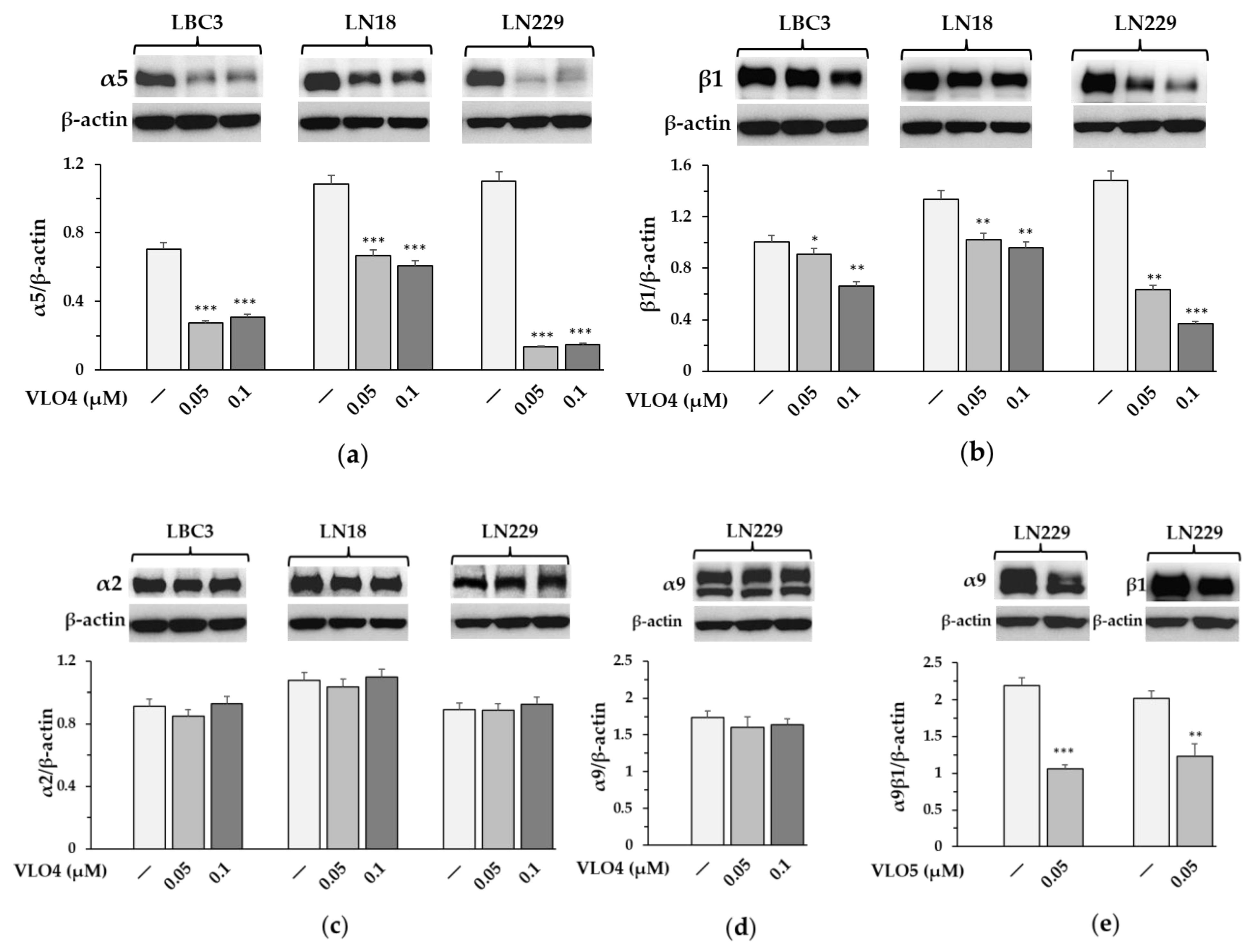 Cancers 15 04805 g005