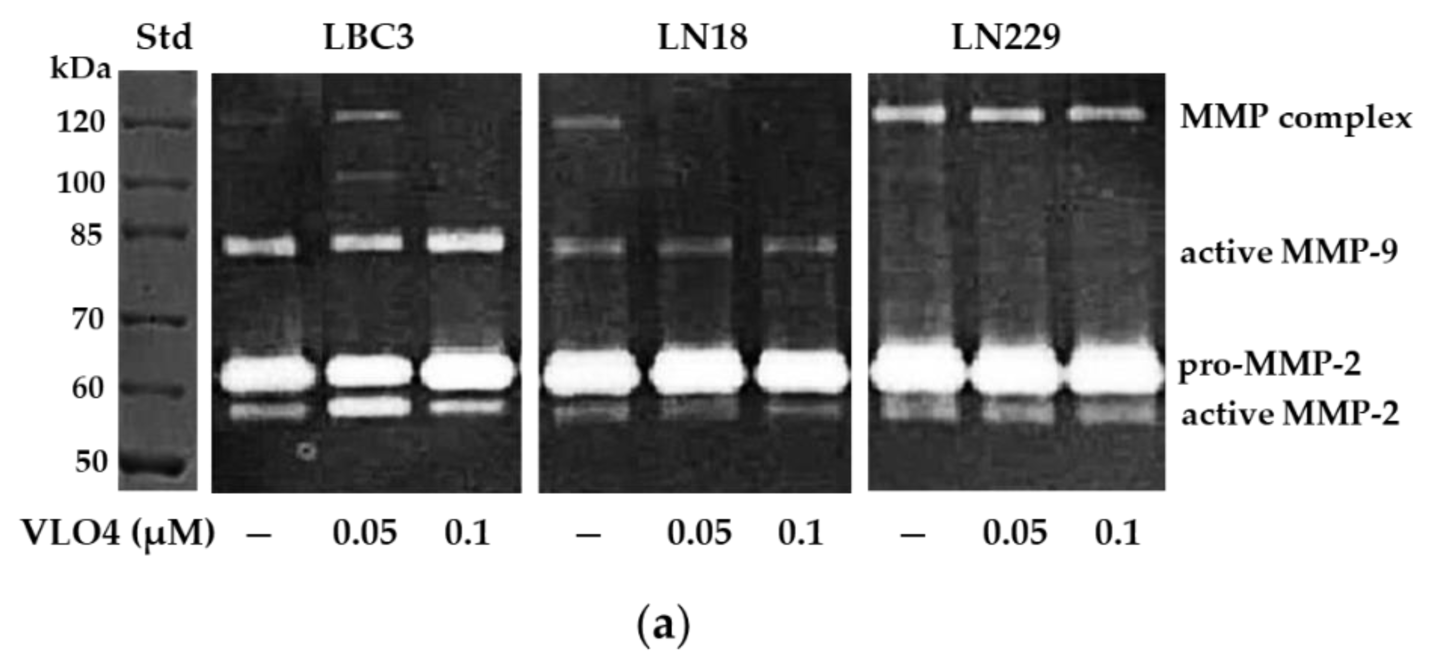 Cancers 15 04805 g006a