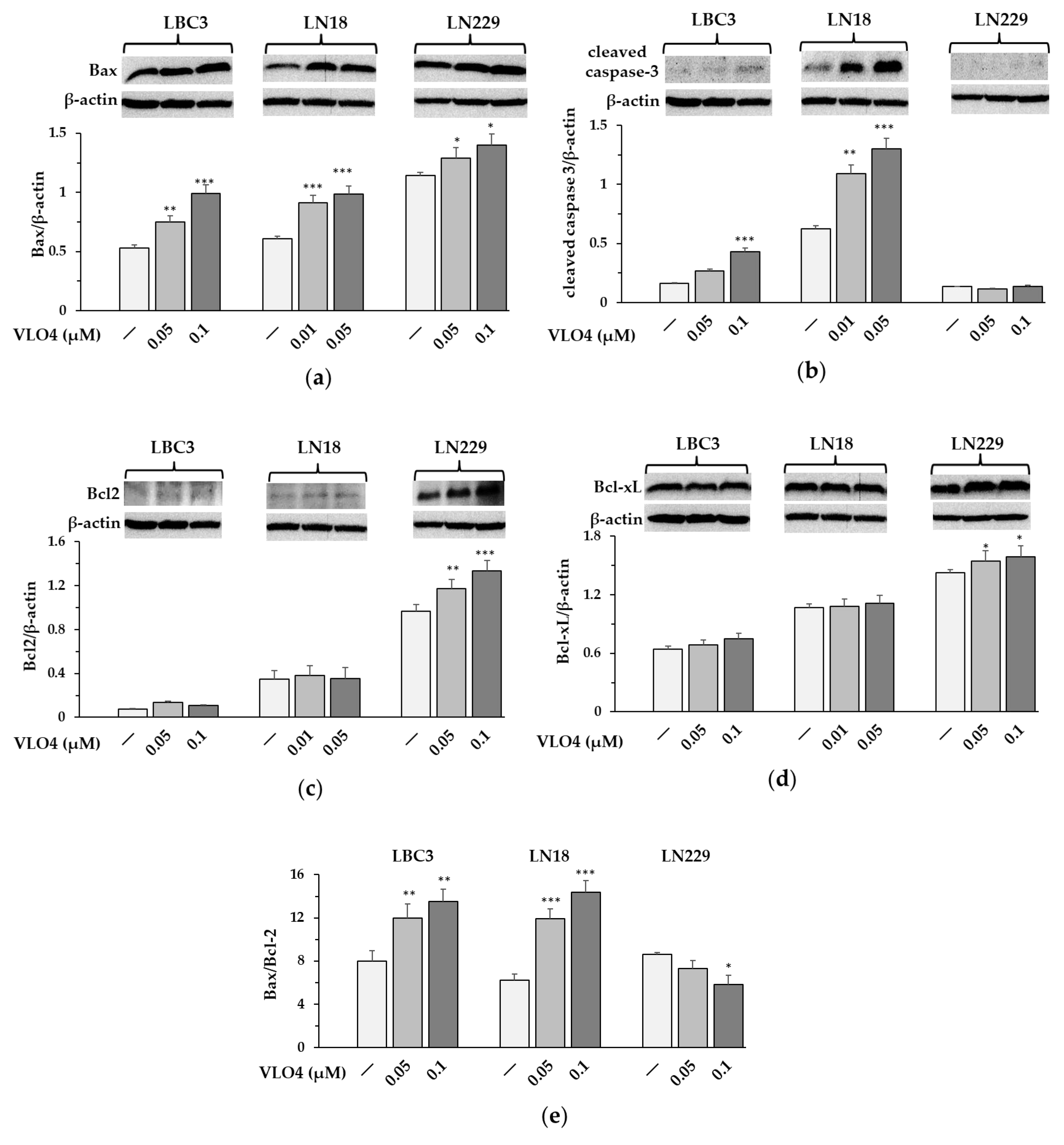 Cancers 15 04805 g008