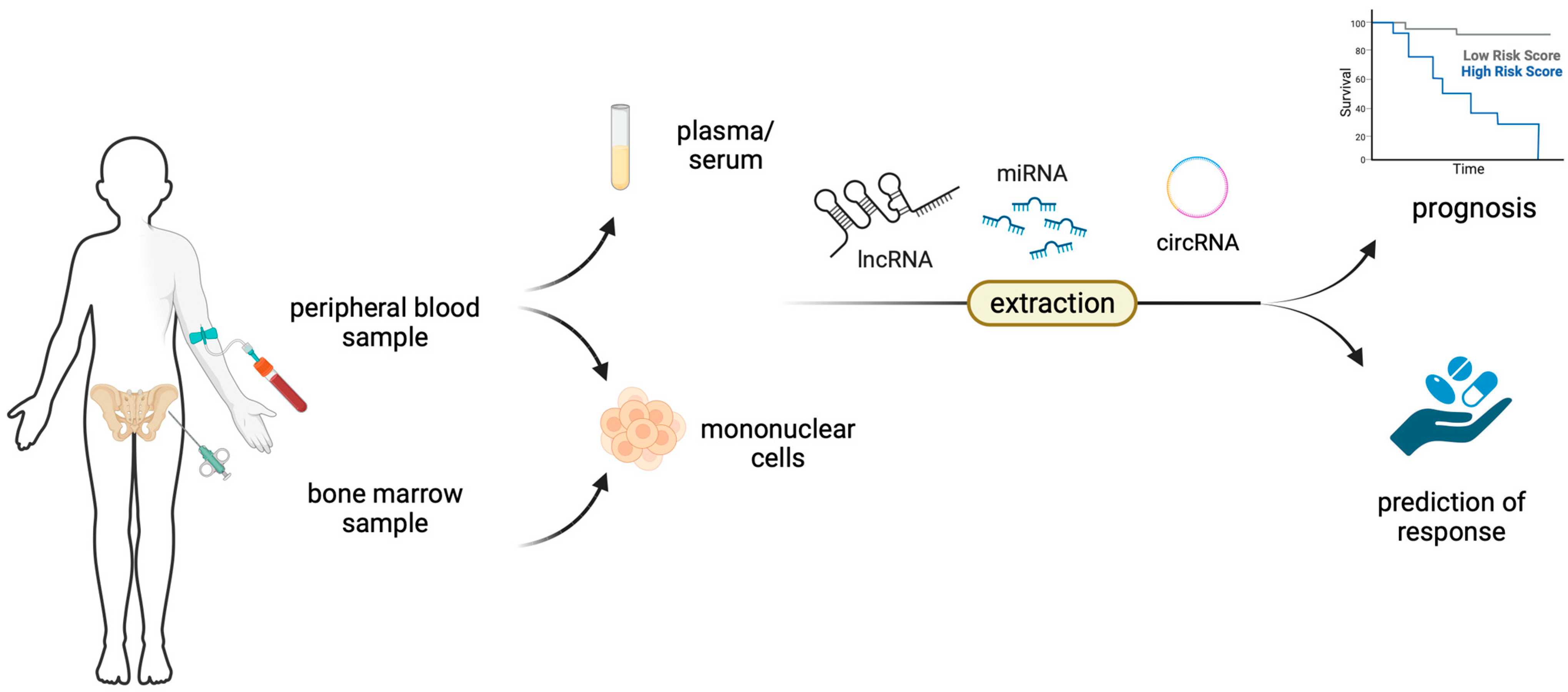 Cancers 15 04810 g001 Cancers 15 04810 g001