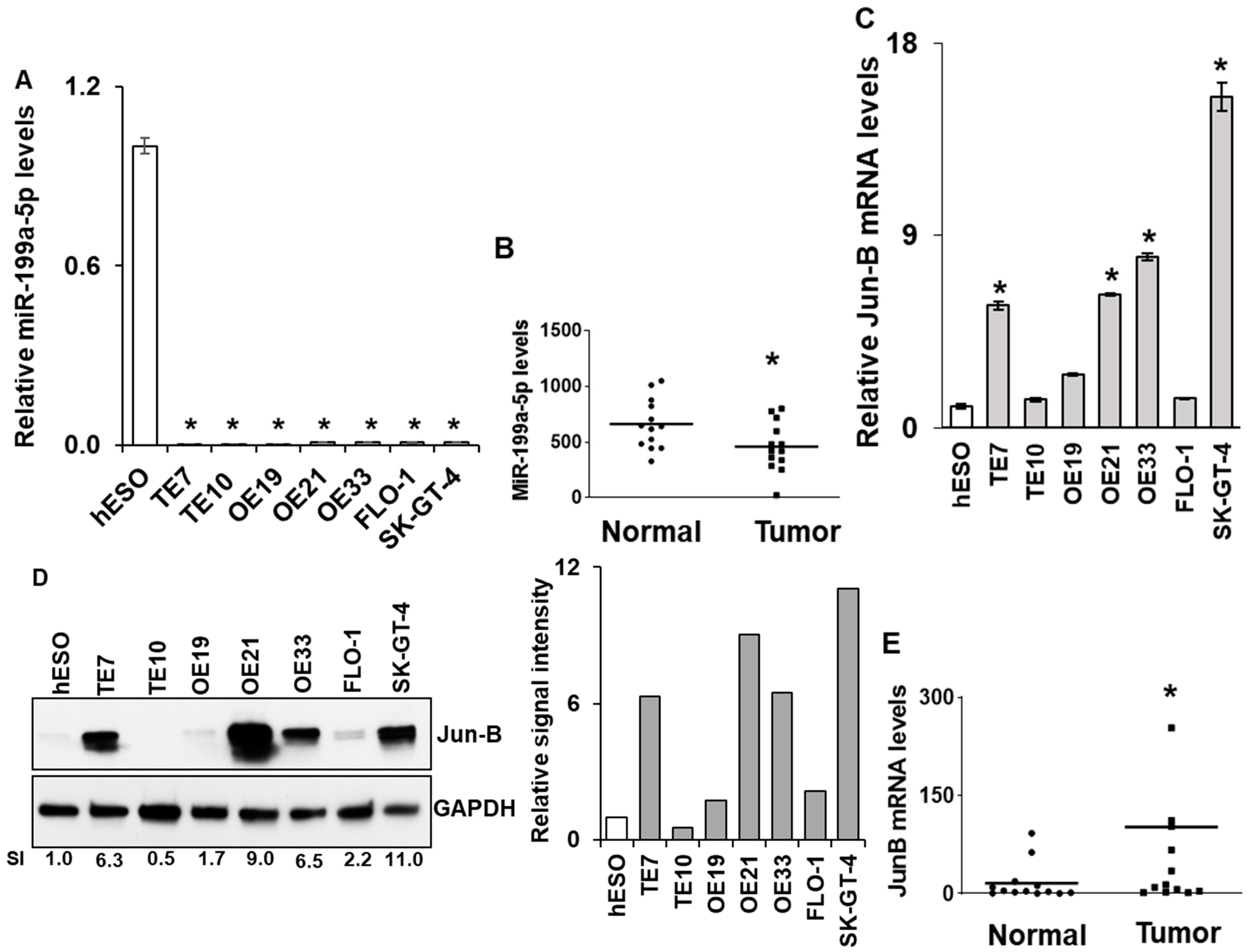 Cancers 15 04811 g001