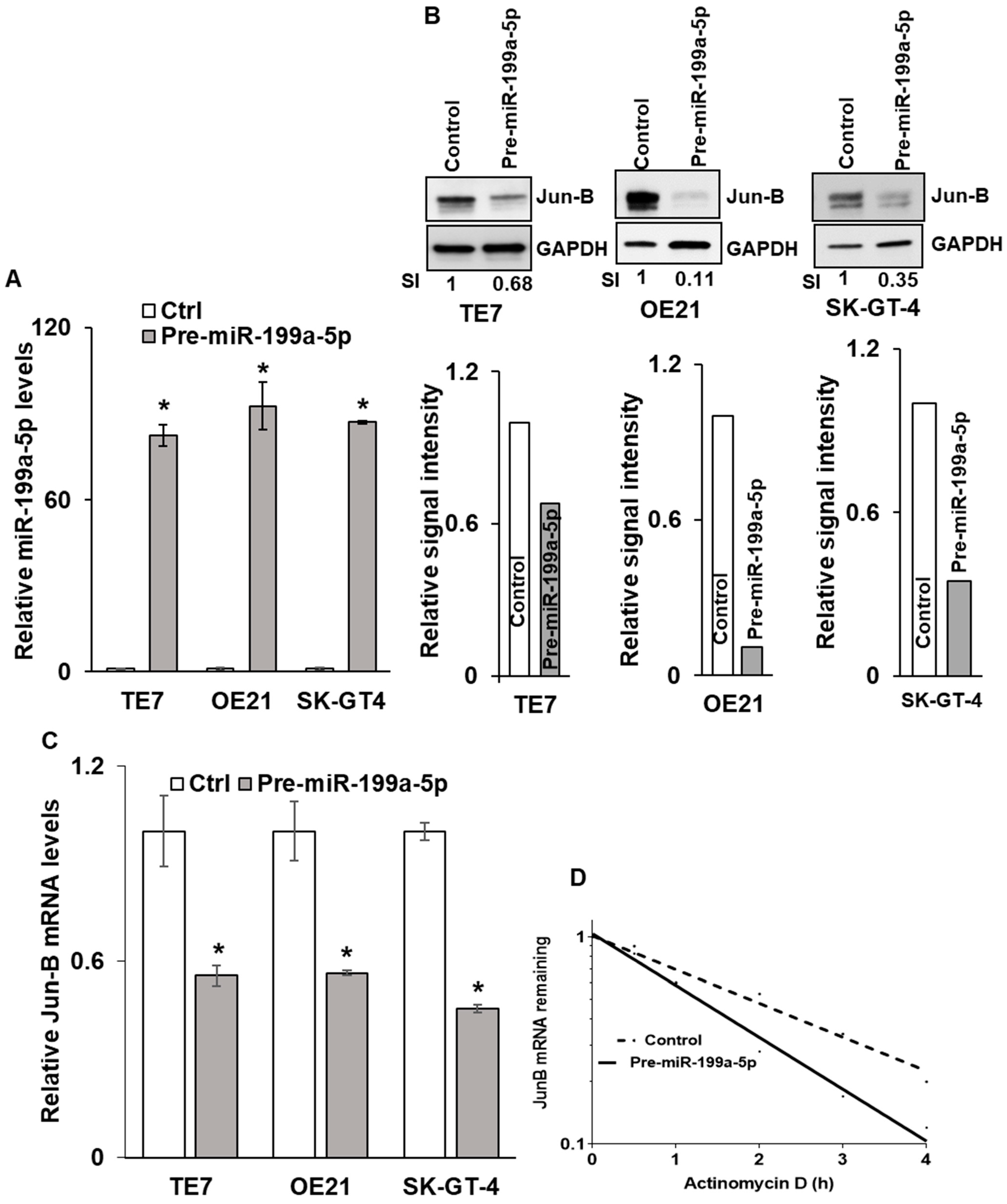 Cancers 15 04811 g002