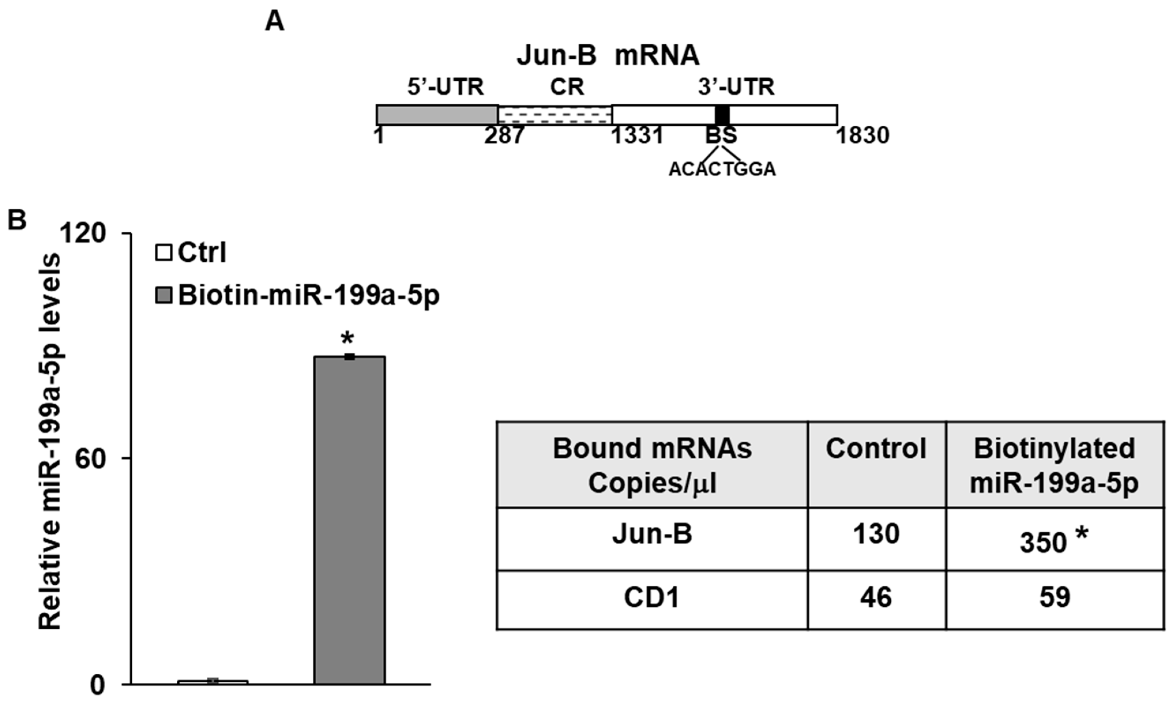Cancers 15 04811 g003a