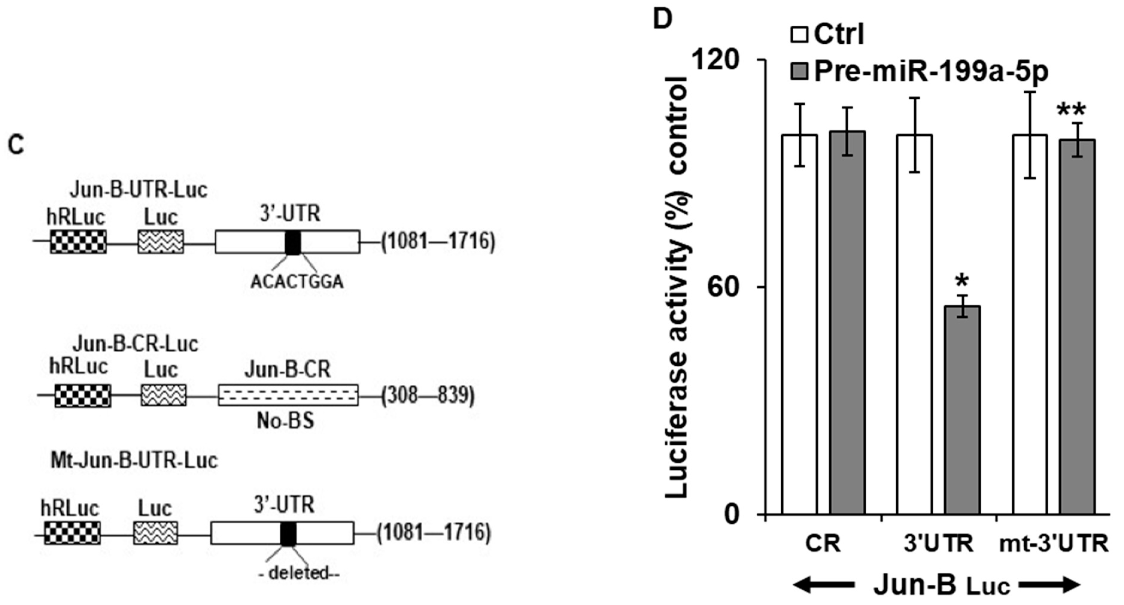 Cancers 15 04811 g003b