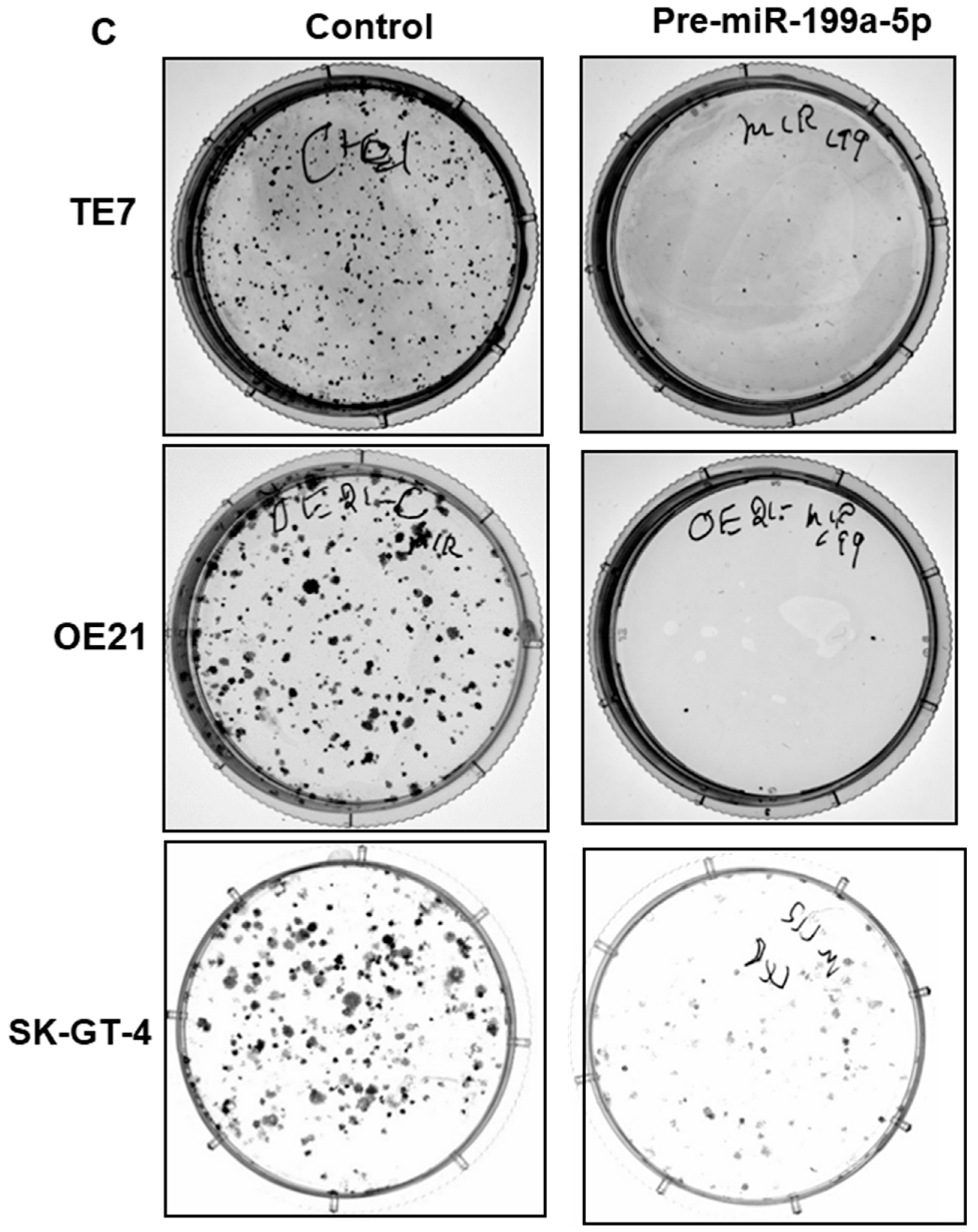 Cancers 15 04811 g004b
