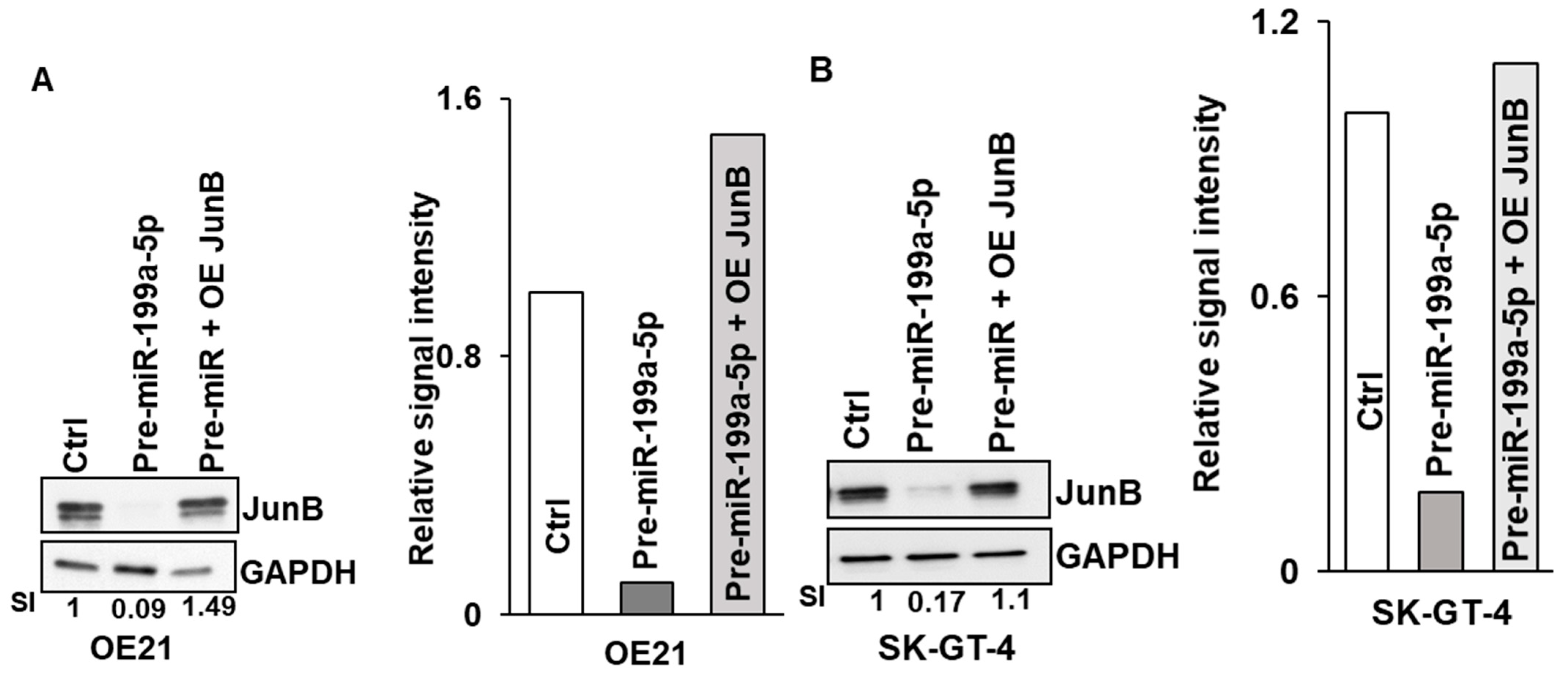 Cancers 15 04811 g006a