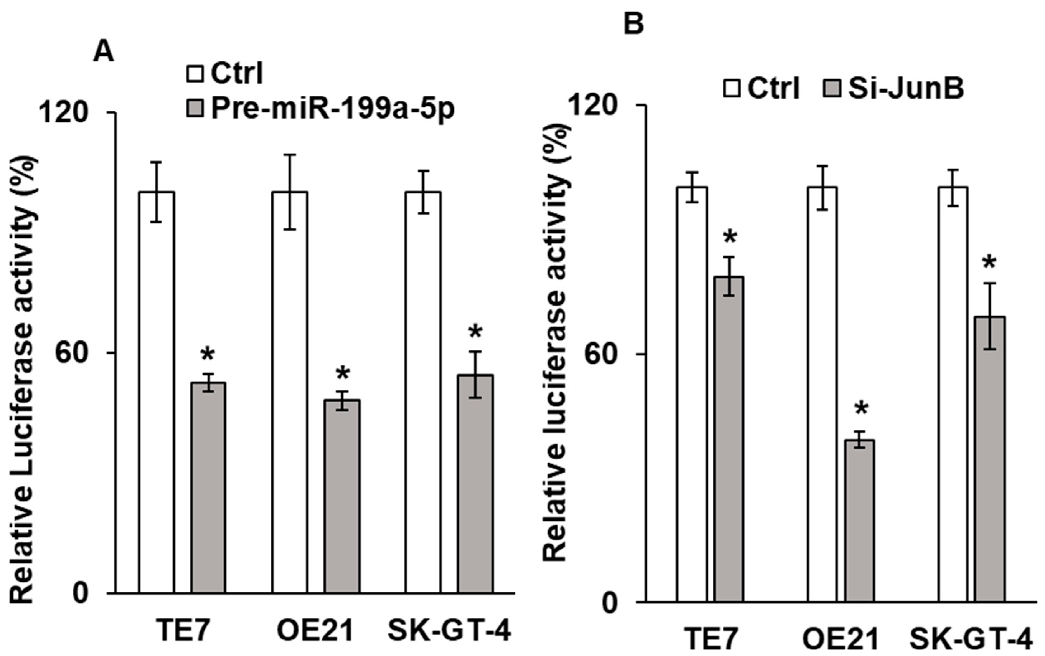 Cancers 15 04811 g007