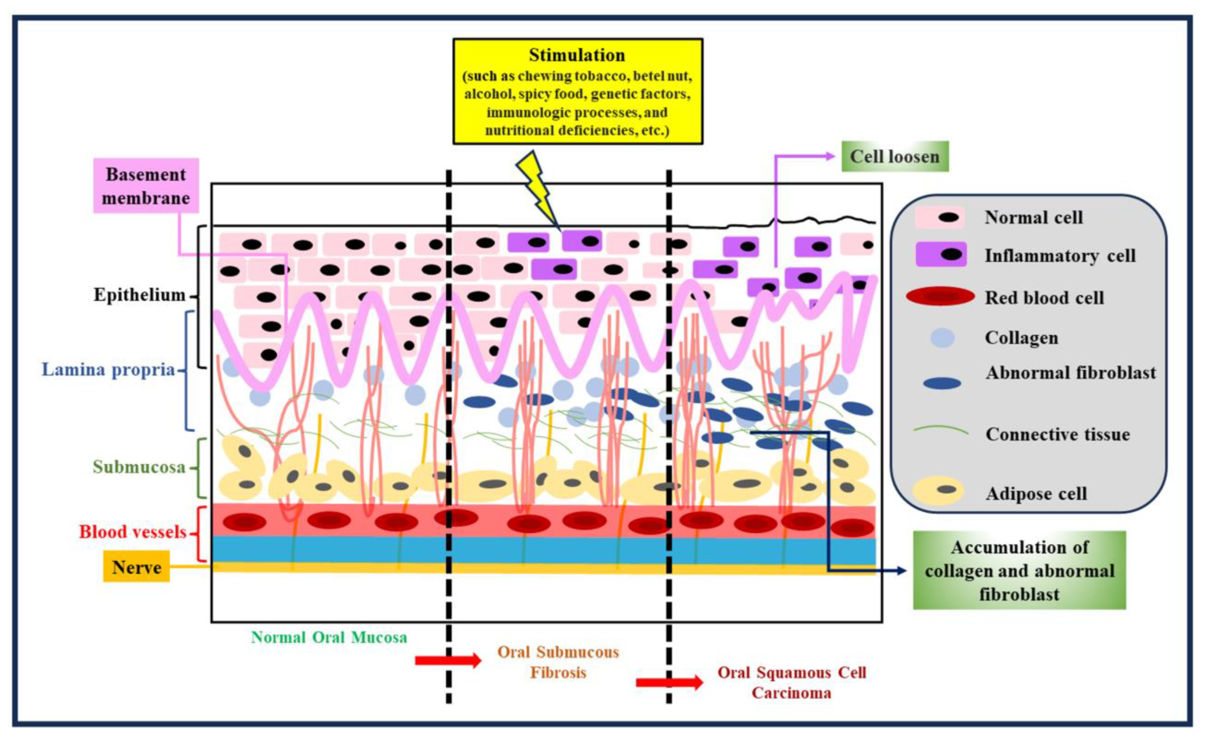 Cancers 15 04812 g001