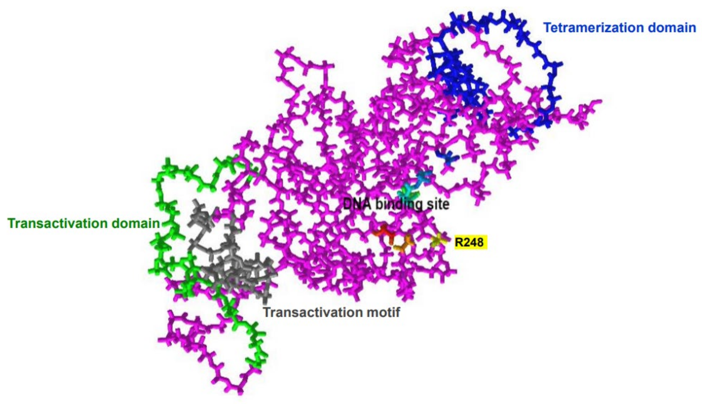 Cancers 15 04816 g001 Cancers 15 04816 g001