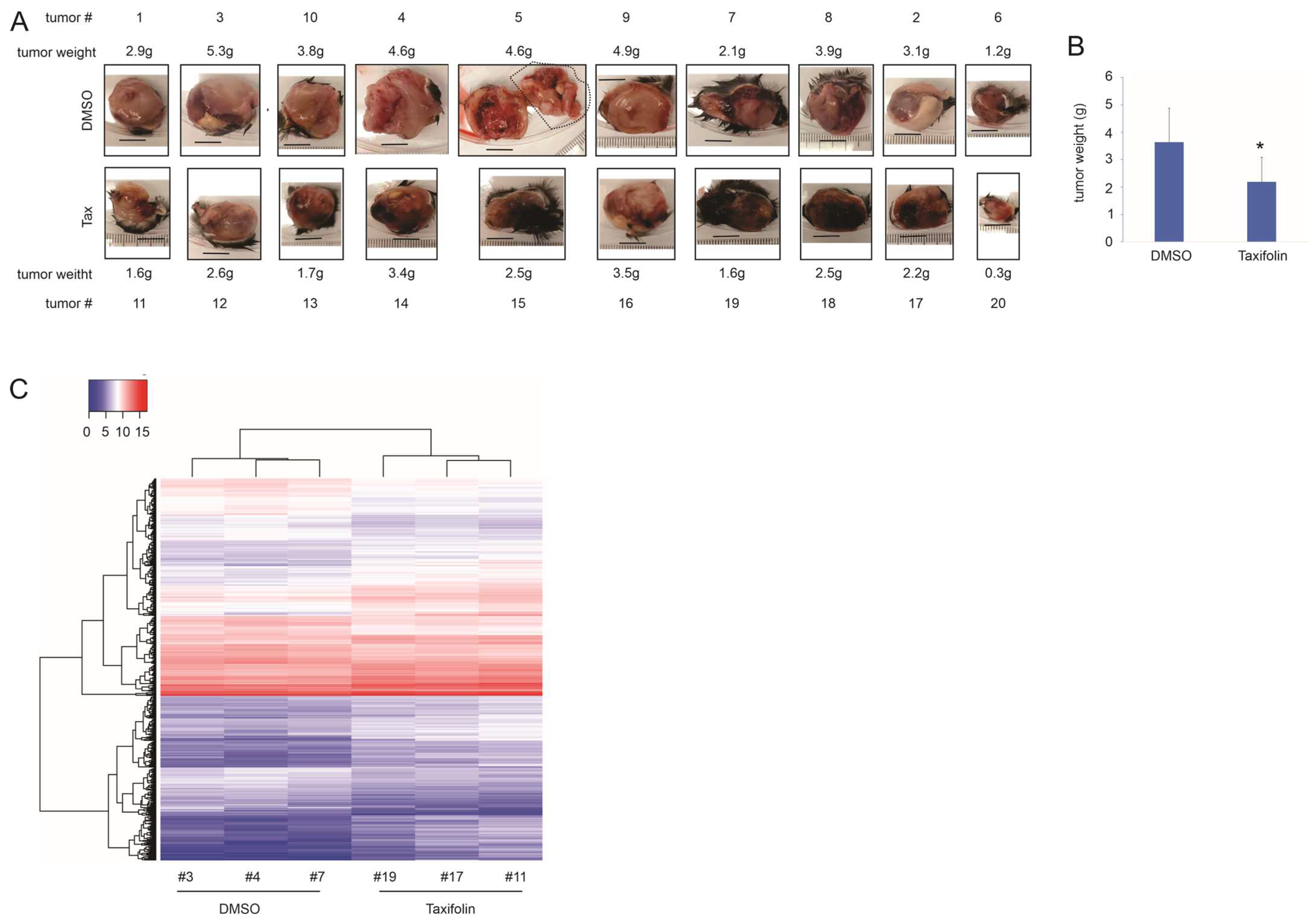 Cancers 15 04818 g001
