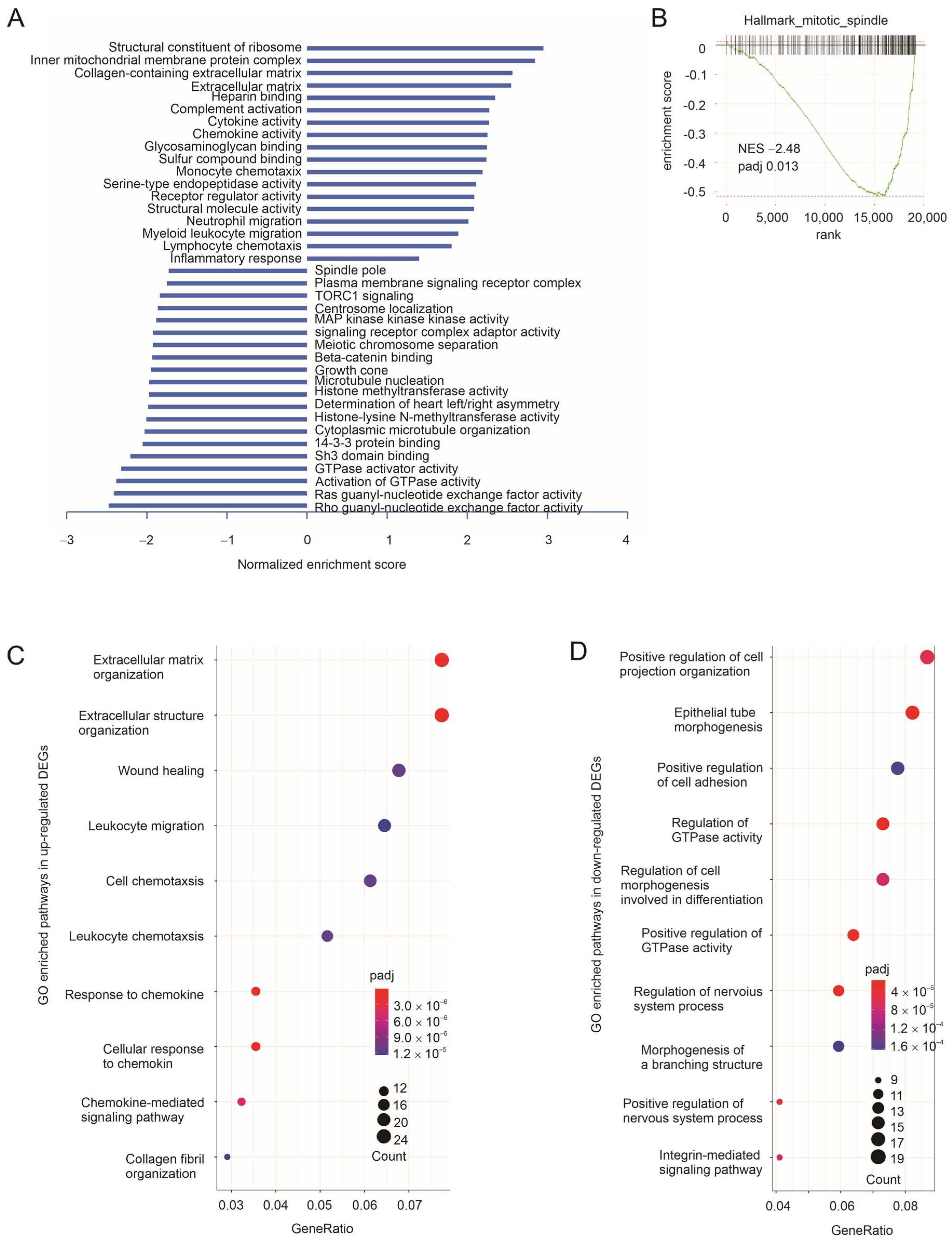 Cancers 15 04818 g002