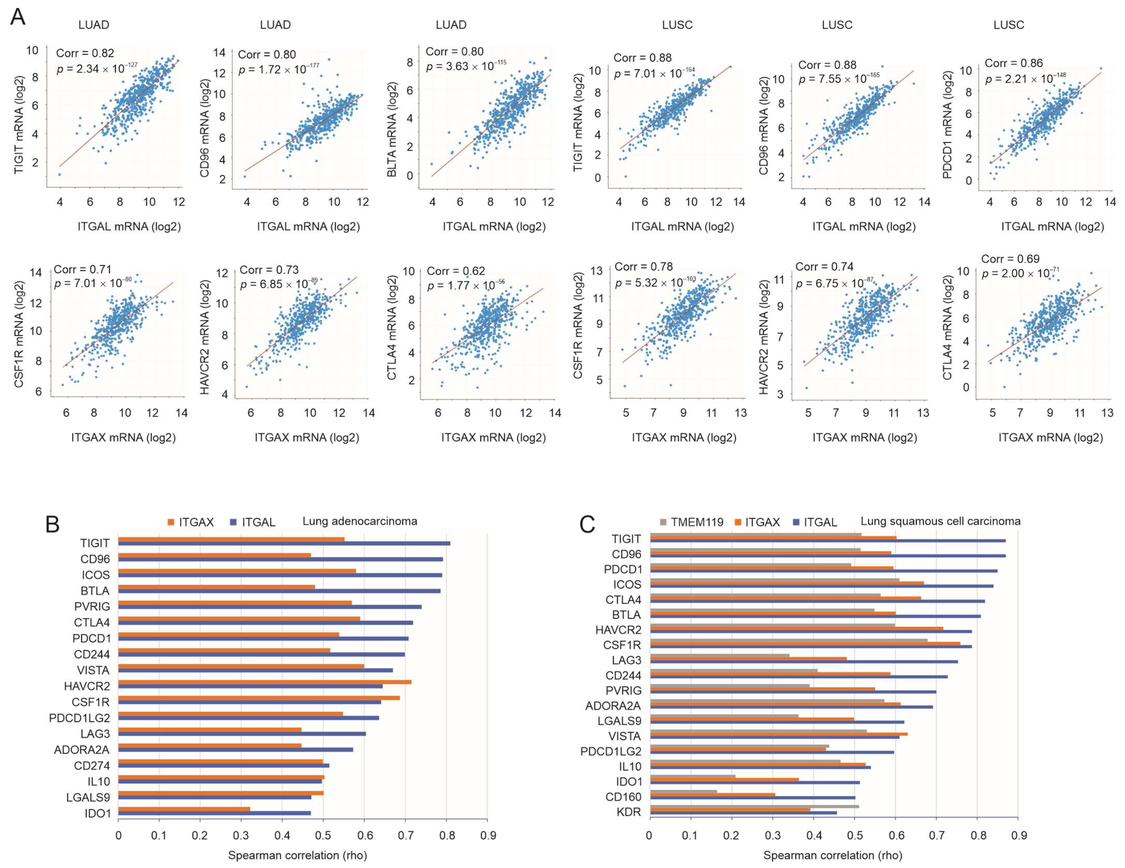 Cancers 15 04818 g004