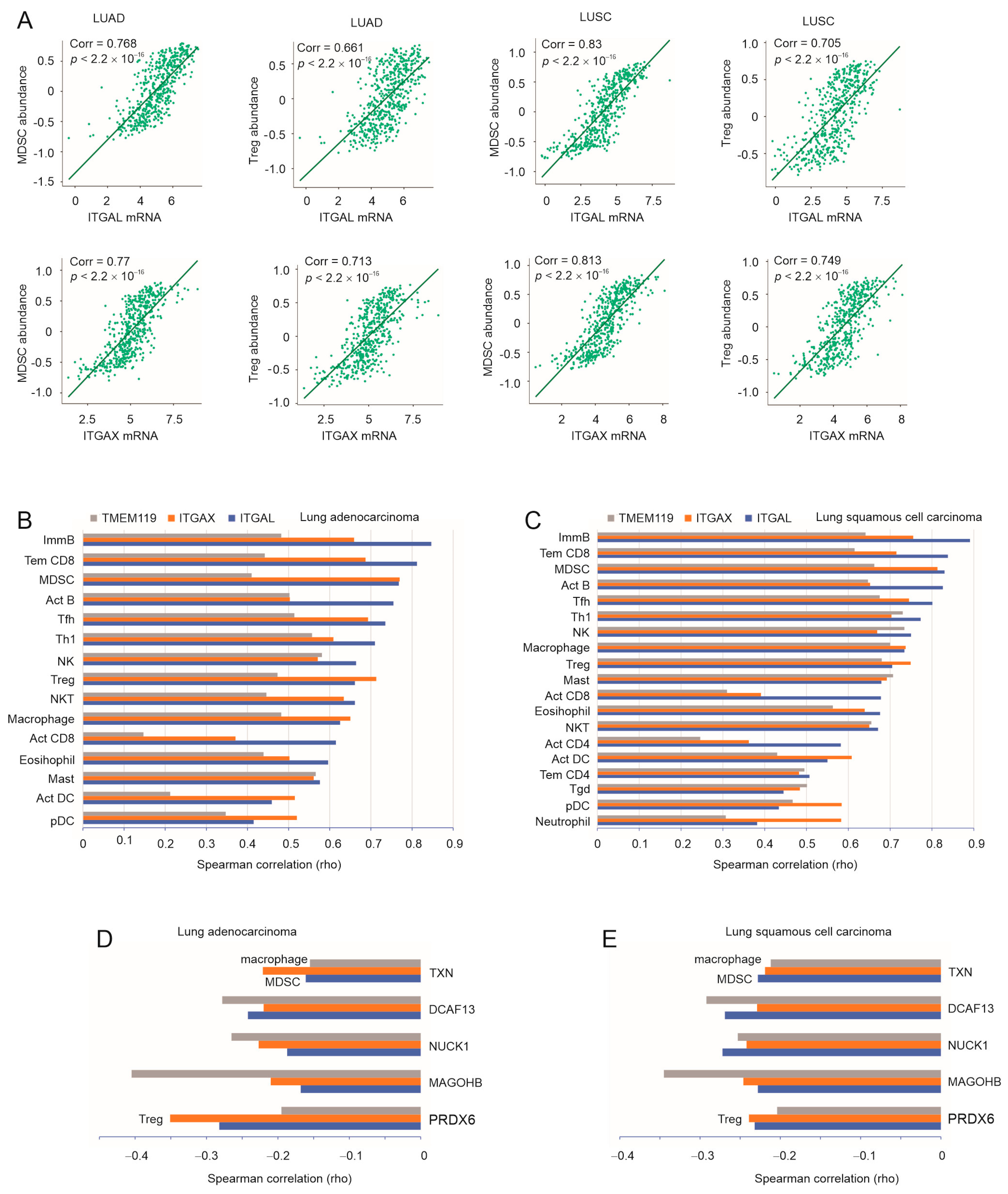 Cancers 15 04818 g005