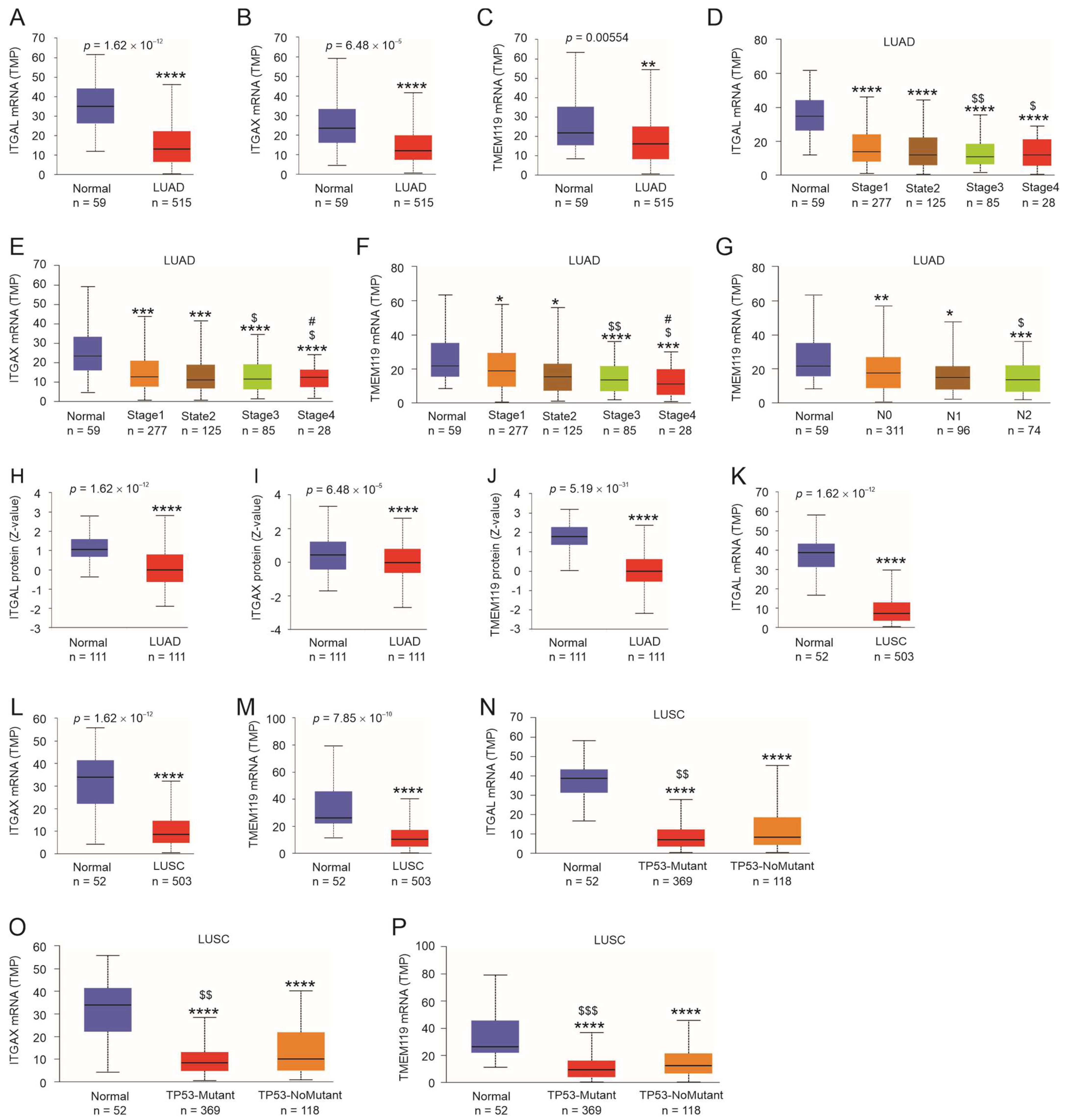 Cancers 15 04818 g006