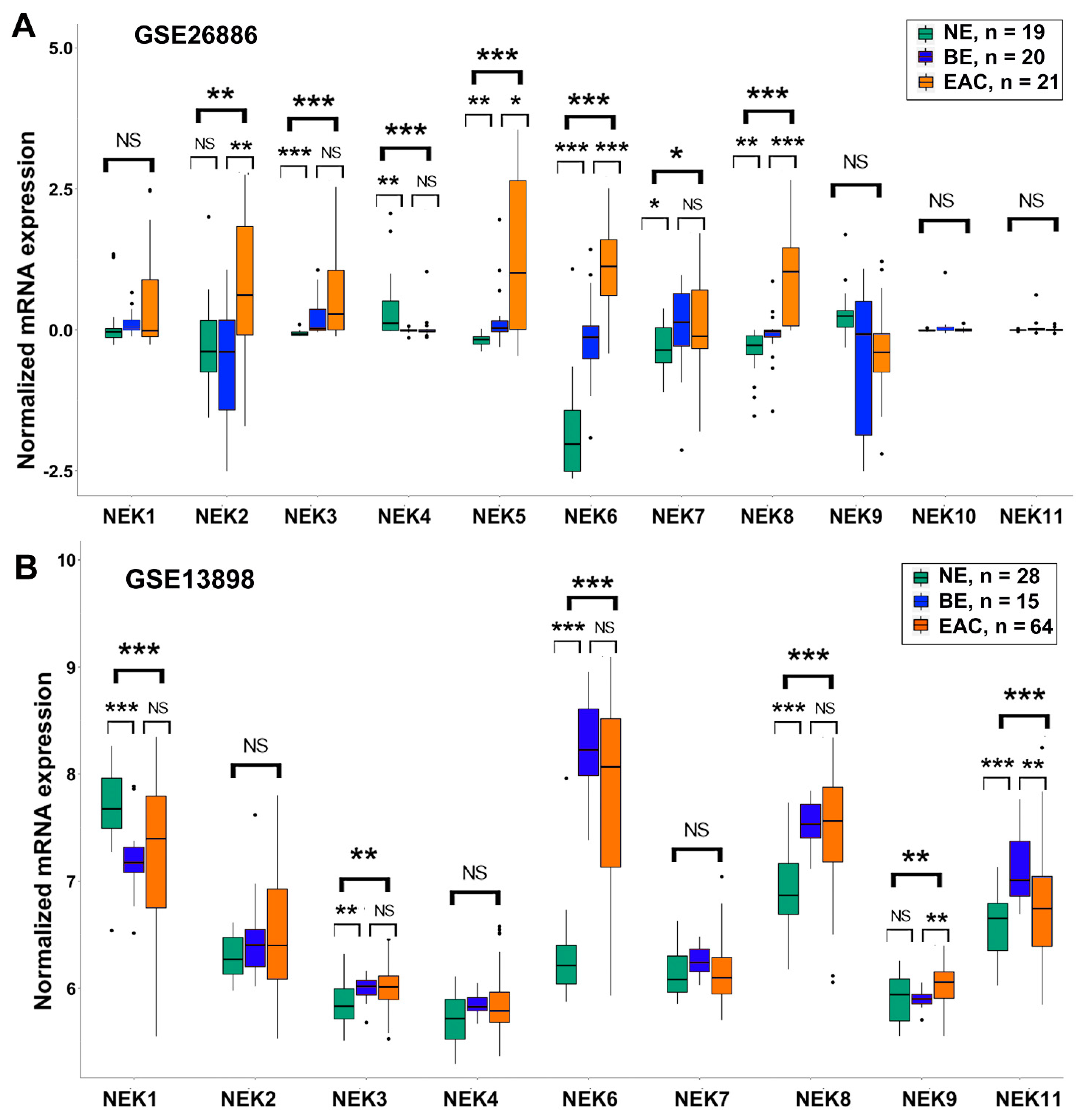 Cancers 15 04821 g002 Cancers 15 04821 g002