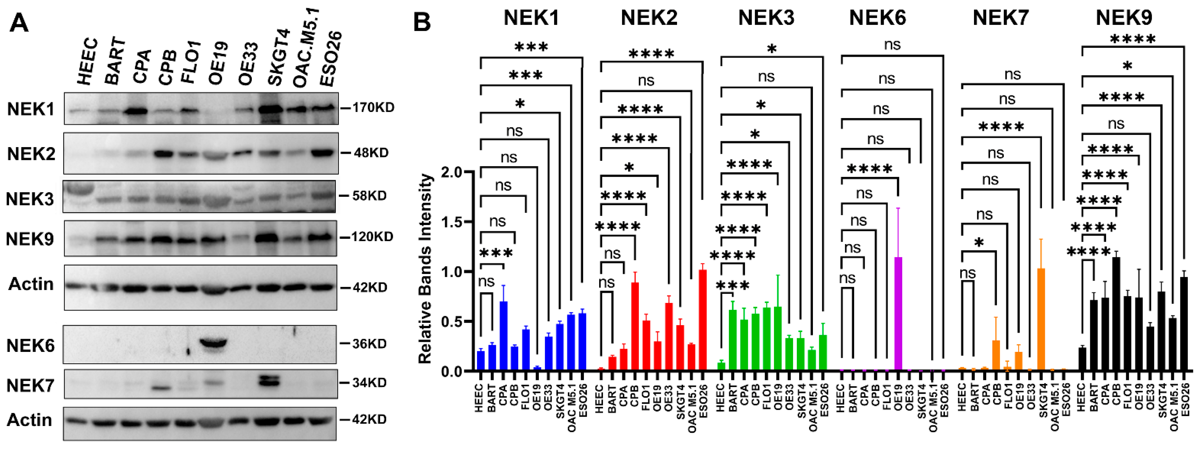 Cancers 15 04821 g006 Cancers 15 04821 g006