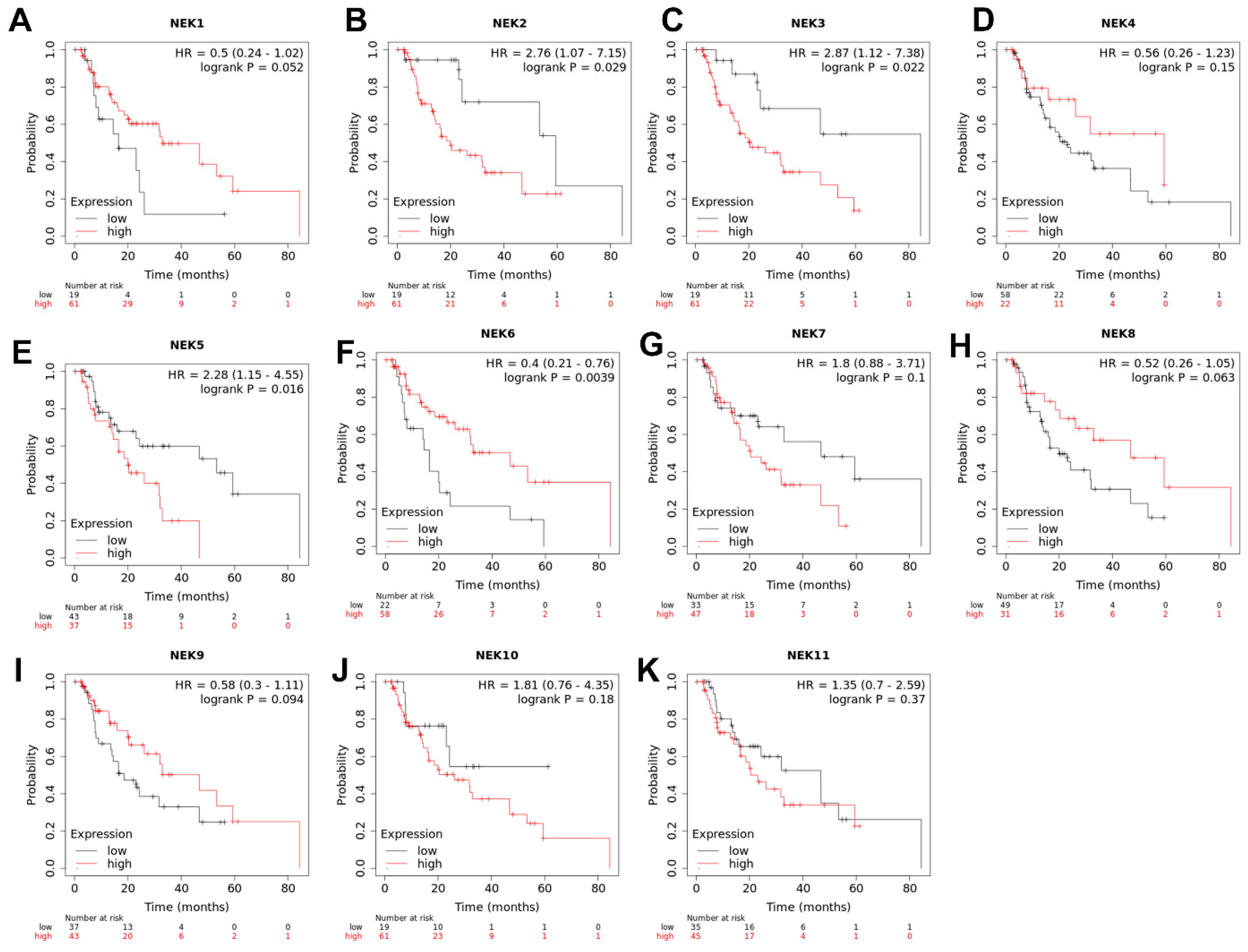 Cancers 15 04821 g008 Cancers 15 04821 g008