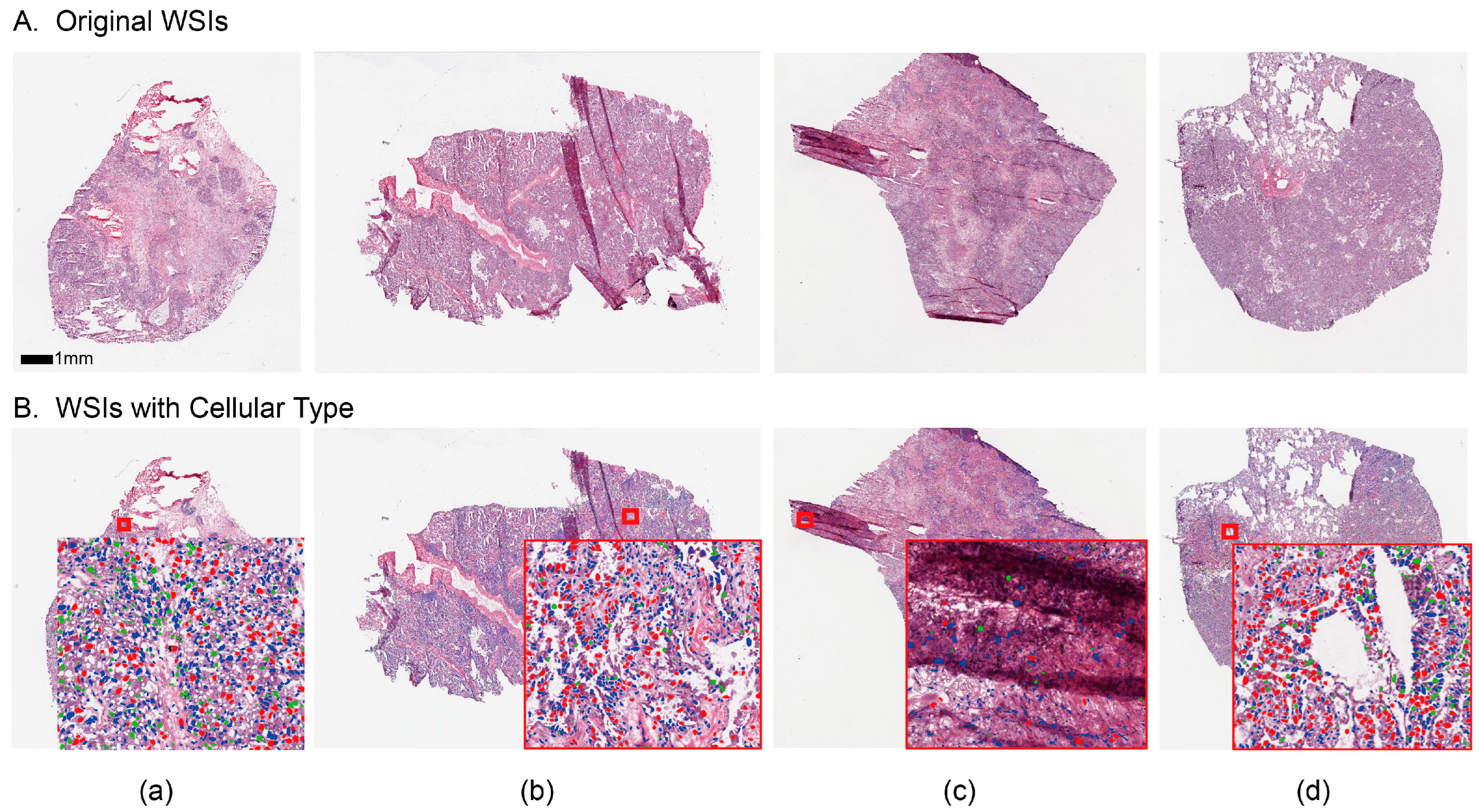 Cancers 15 04824 g003