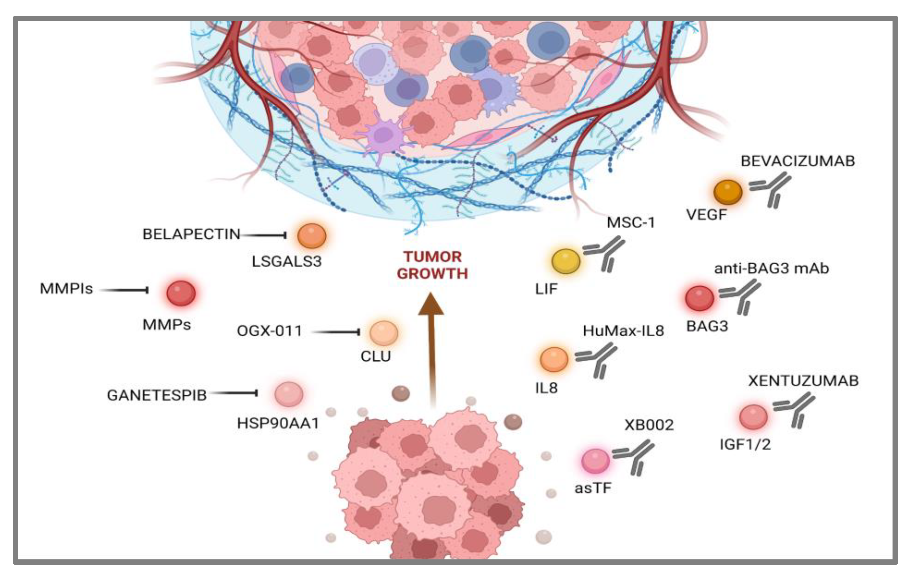 Cancers 15 04825 g002 Cancers 15 04825 g002