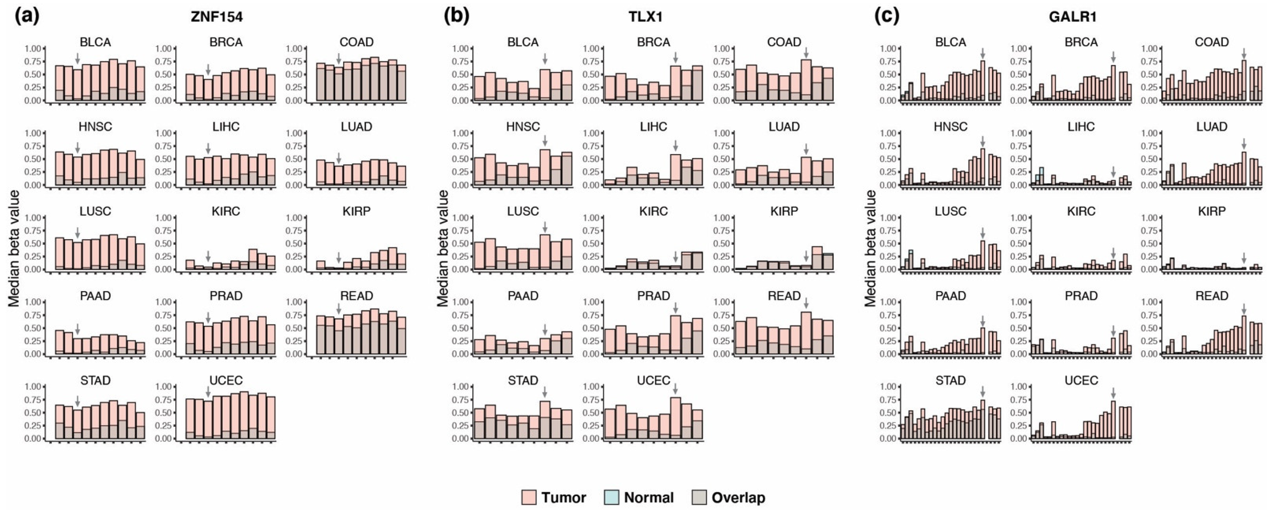 Cancers 15 04826 g001 Cancers 15 04826 g001