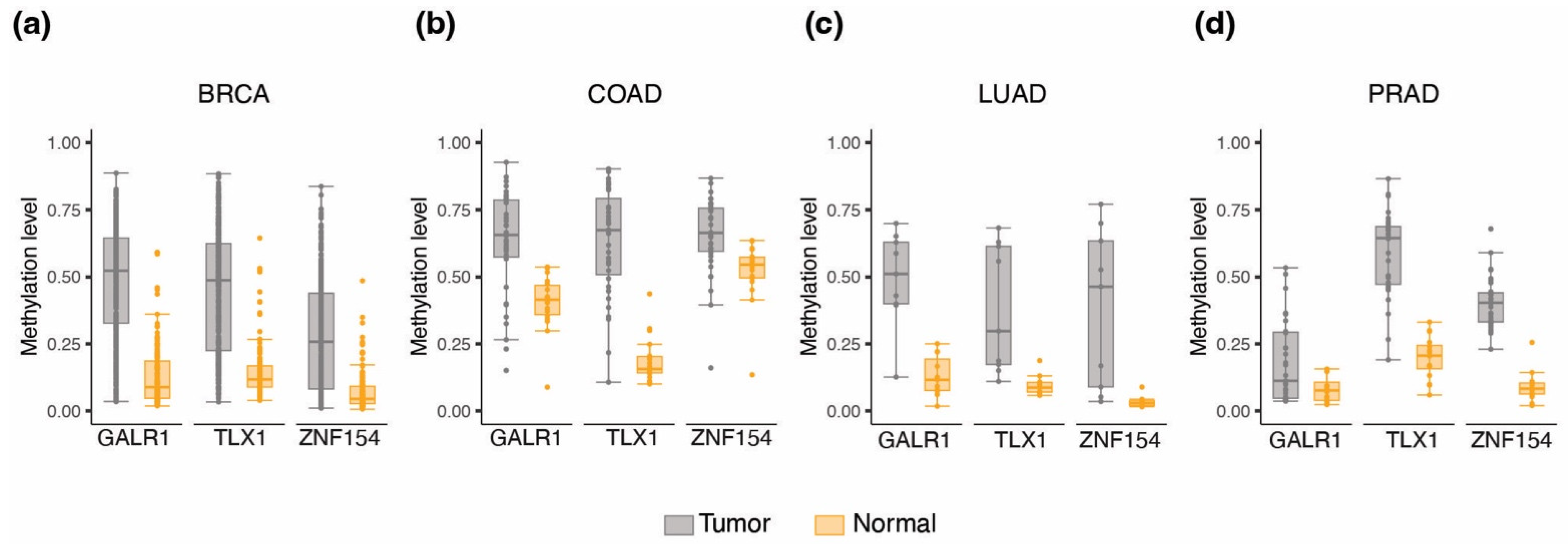 Cancers 15 04826 g004 Cancers 15 04826 g004