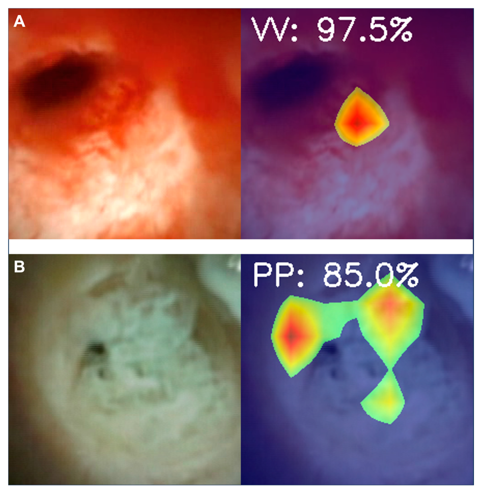 Cancers 15 04827 g004