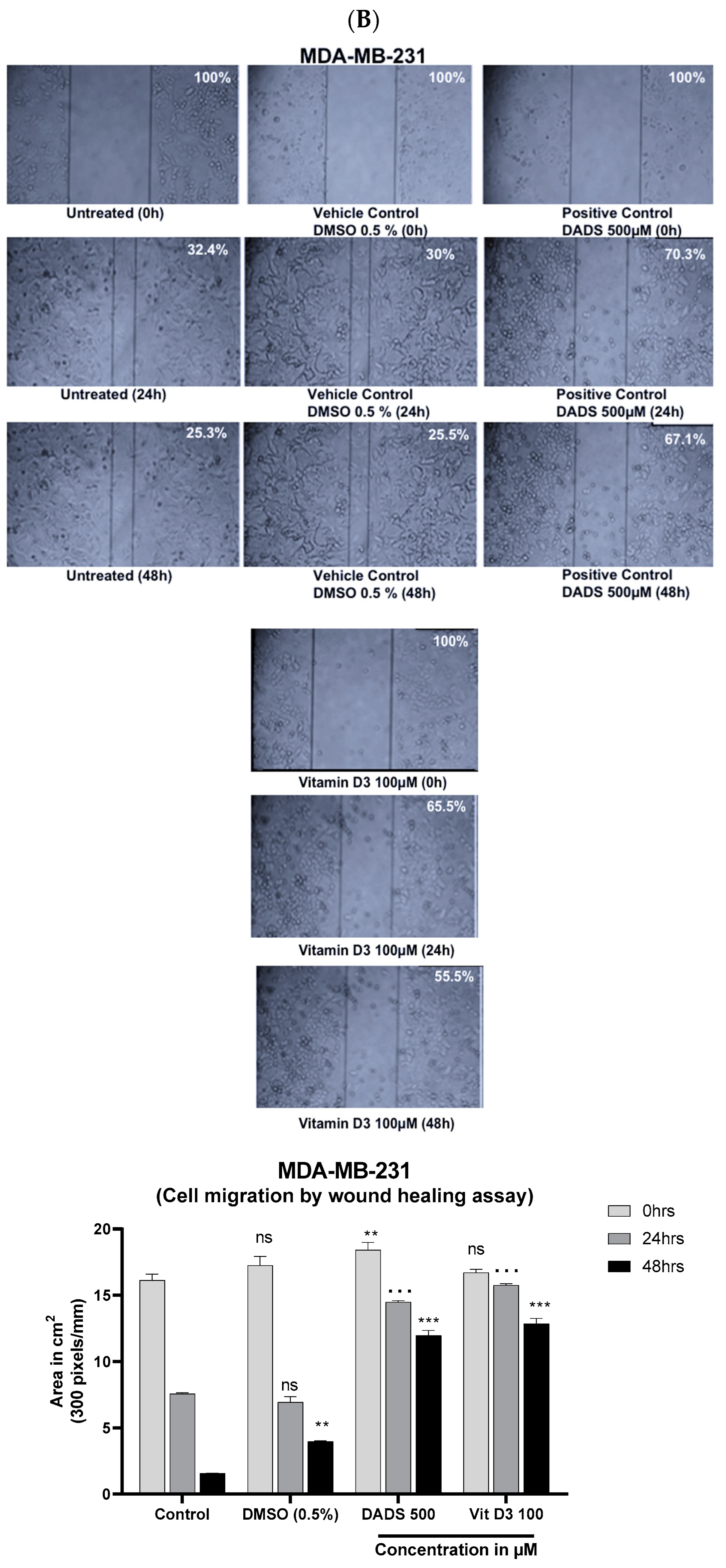 Cancers 15 04833 g007b