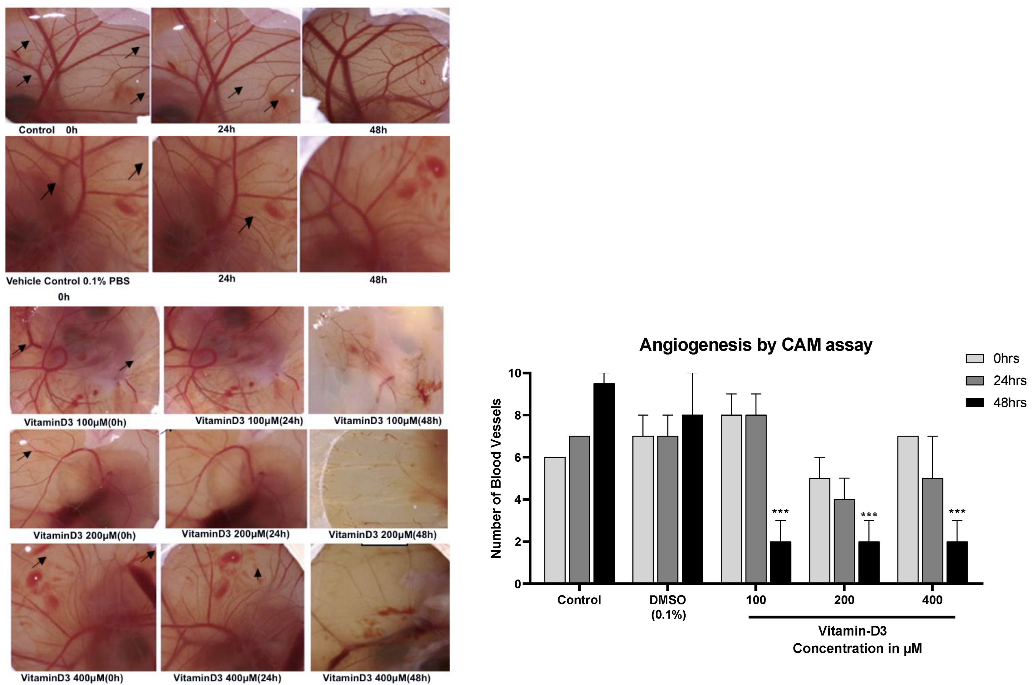 Cancers 15 04833 g008