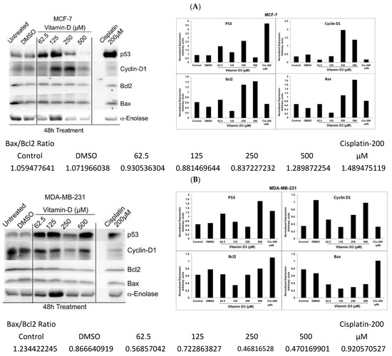 Cancers Free FullText Vitamin D3 Inhibits the Viability of Breast