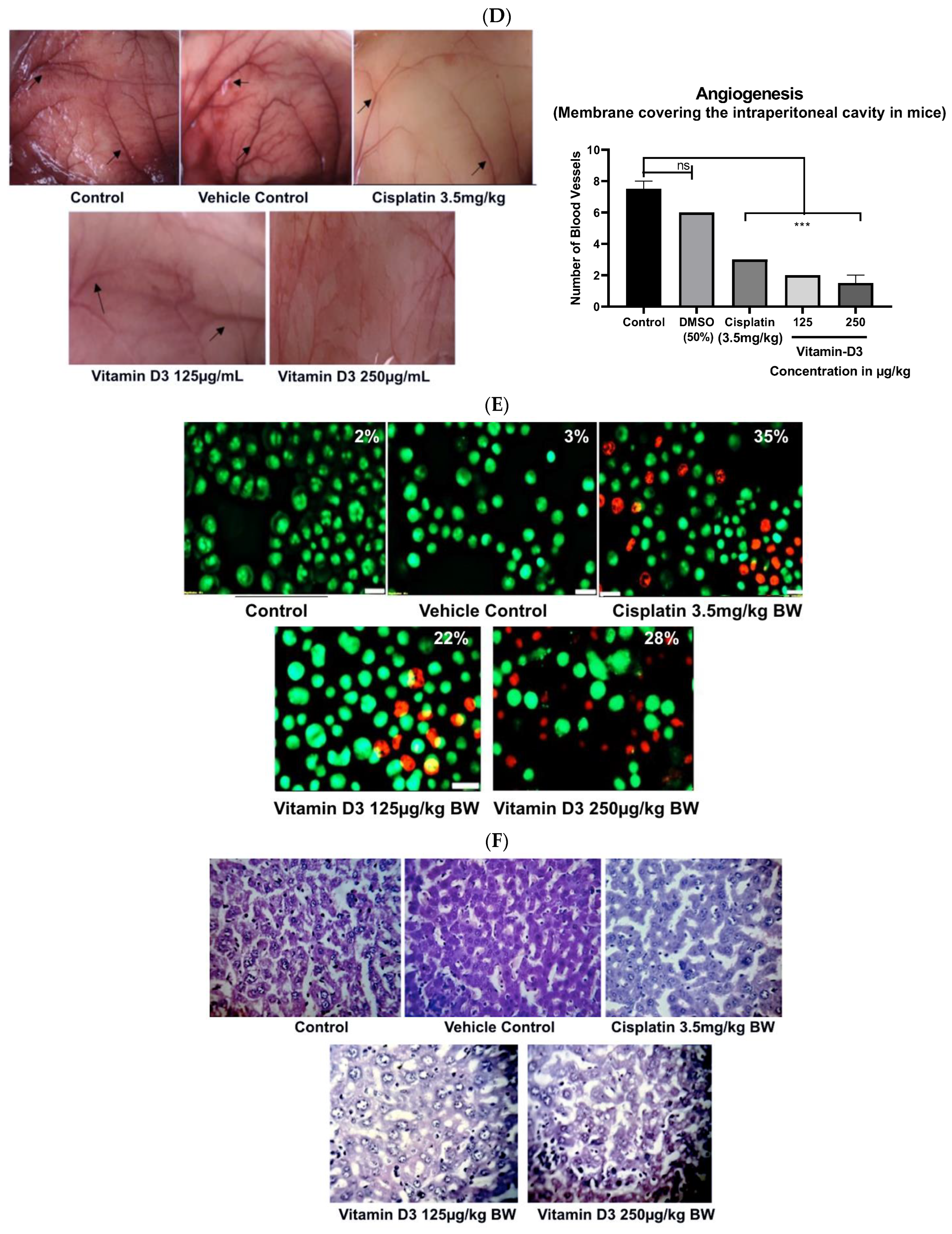 Cancers 15 04833 g010b