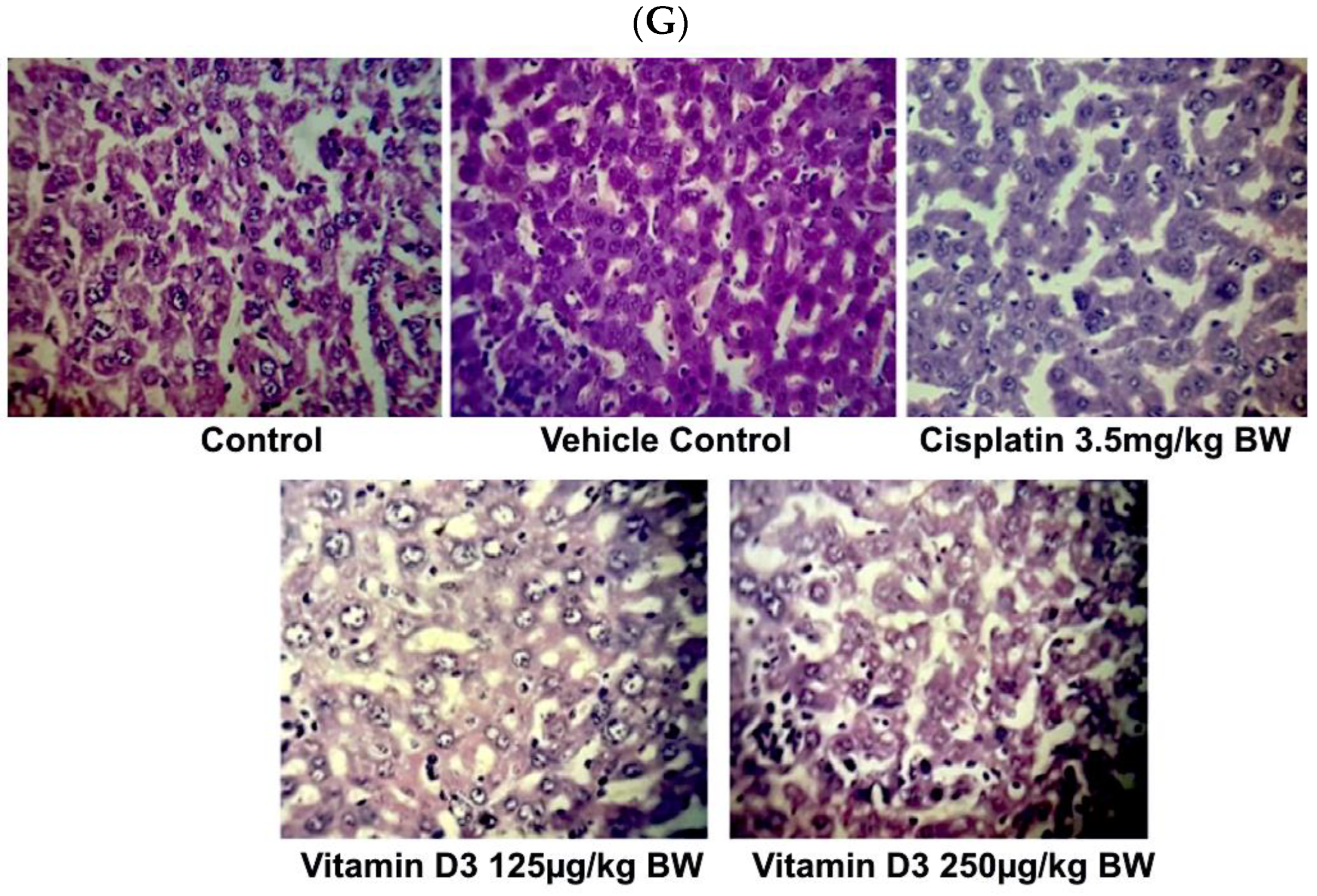 Cancers 15 04833 g010c