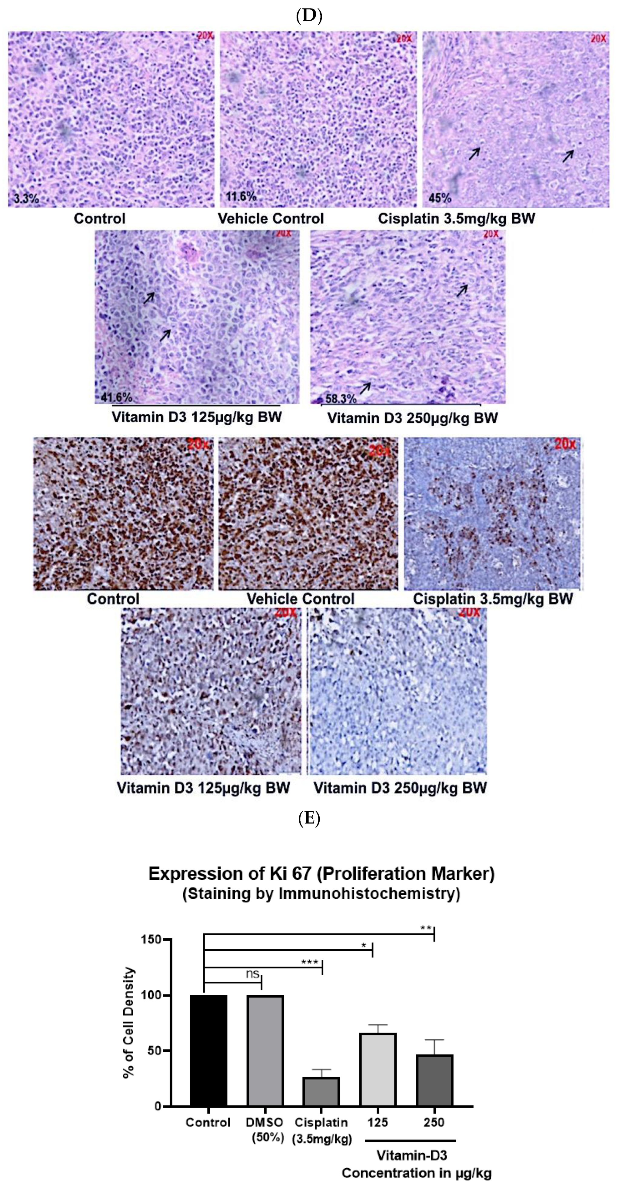 Cancers 15 04833 g011b