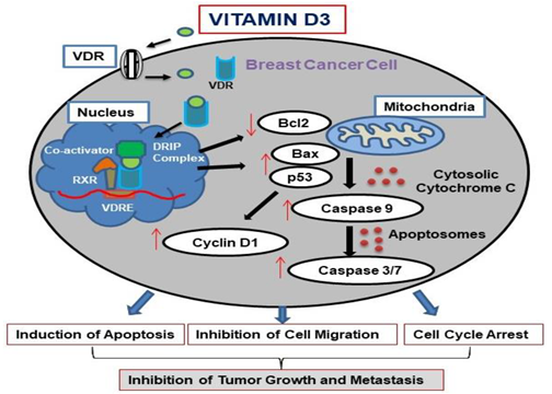 Cancers 15 04833 i001