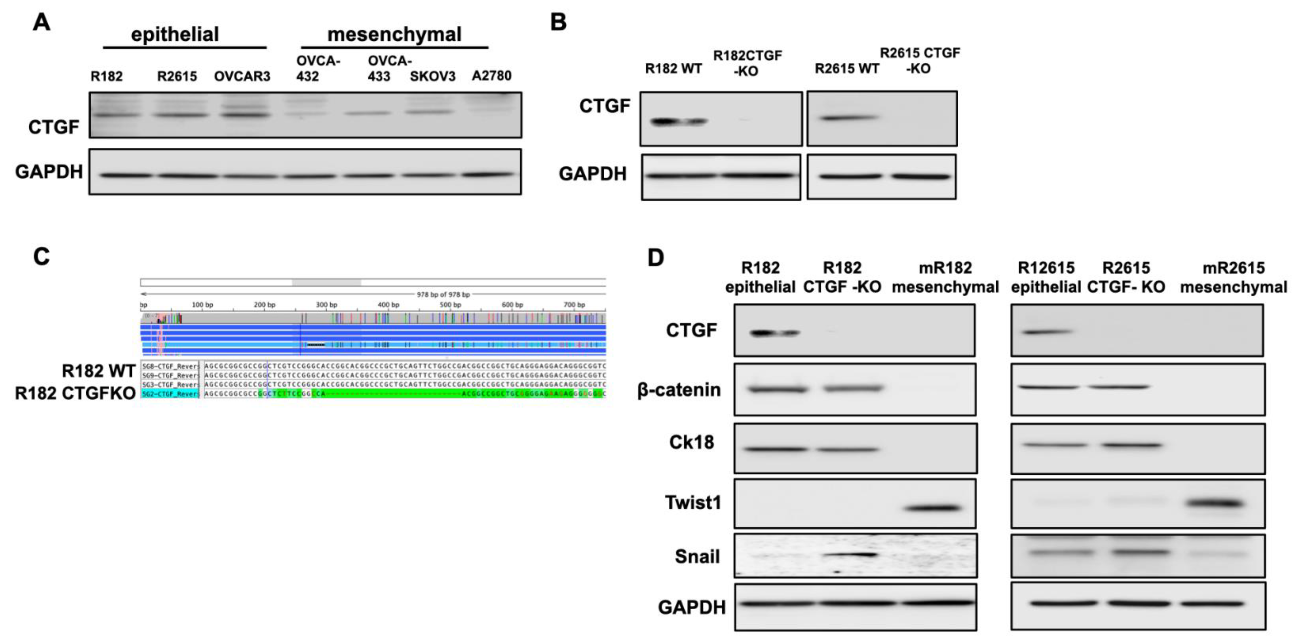 Cancers 15 04834 g002